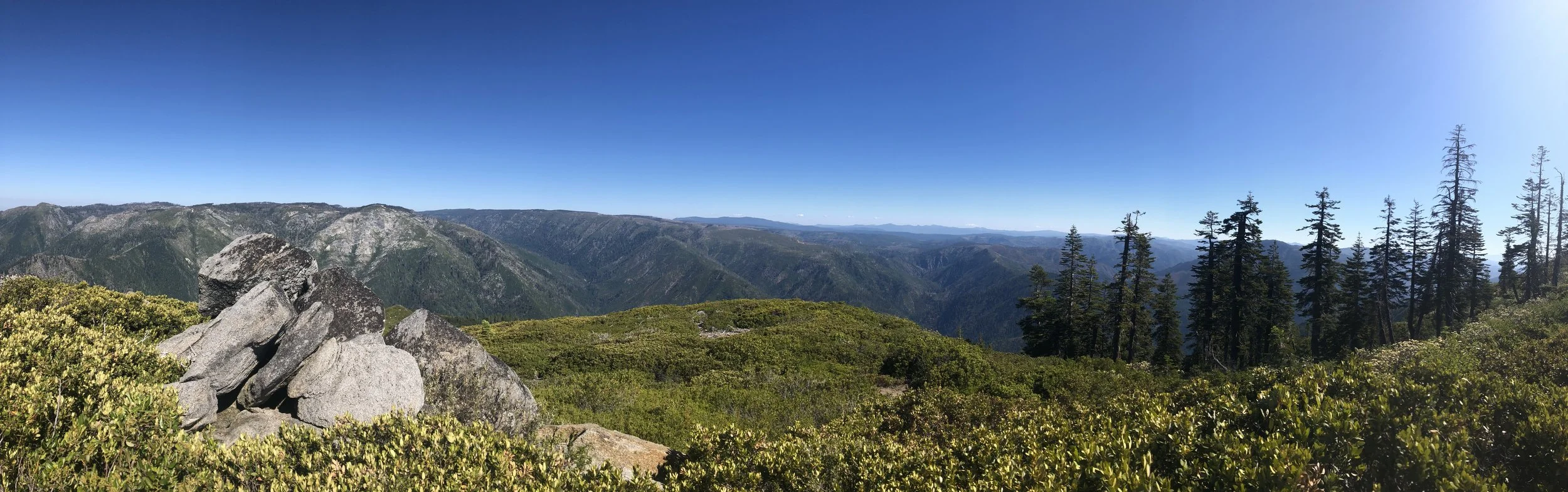 IMG_0522.jpeg