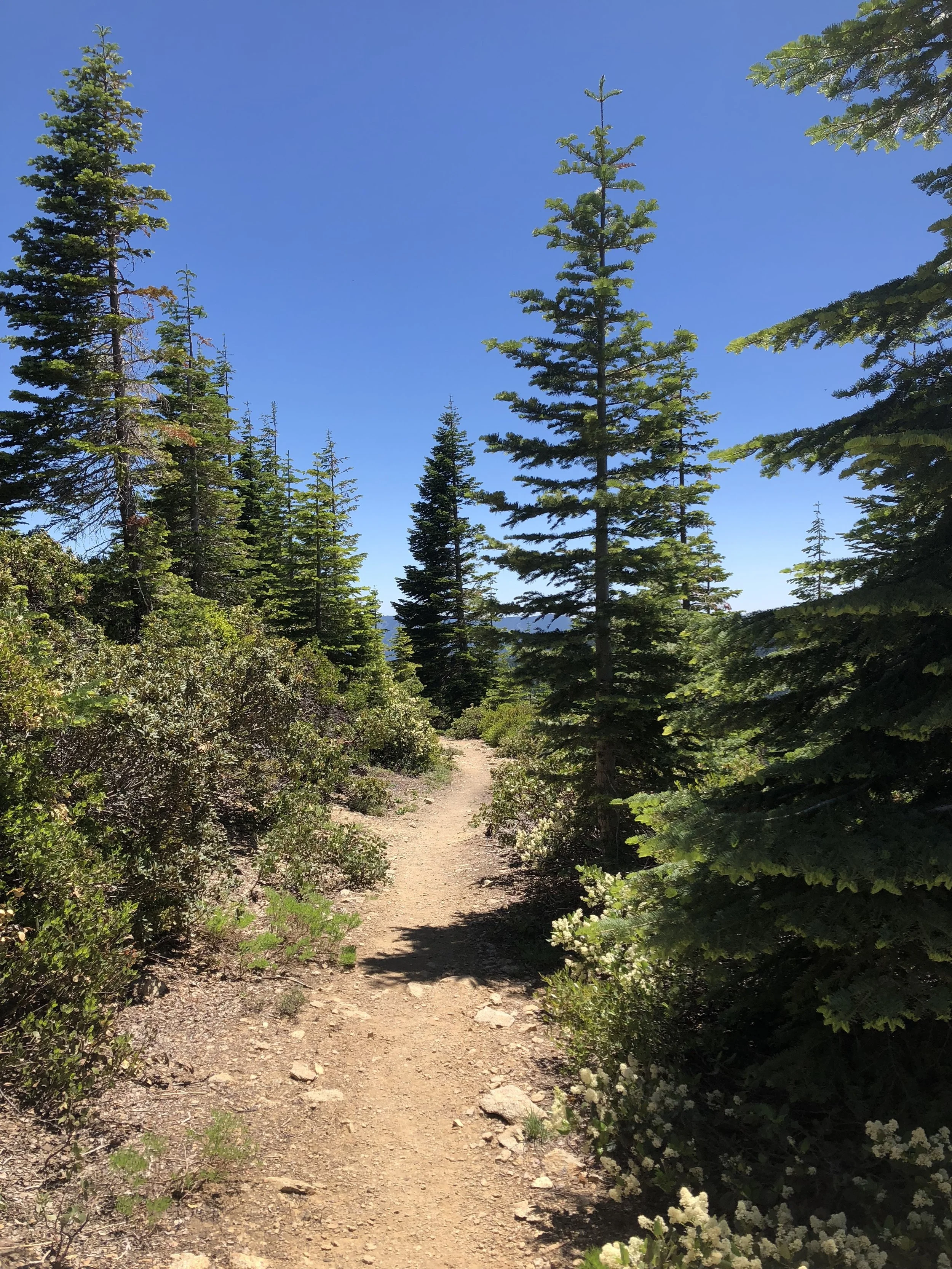 IMG_0533.jpeg