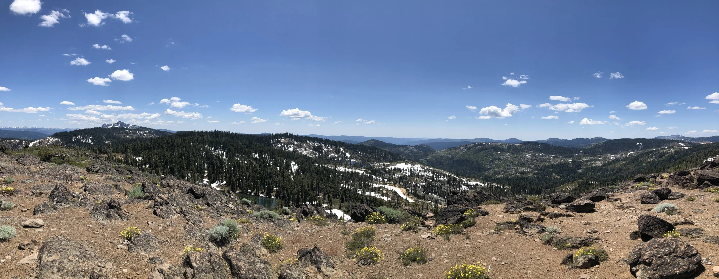 IMG_0567.jpeg