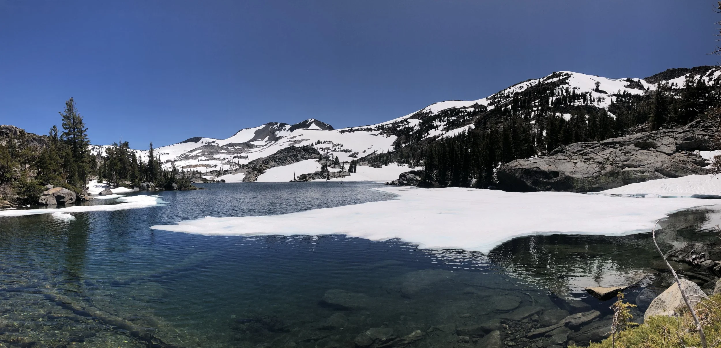 IMG_0629.jpeg