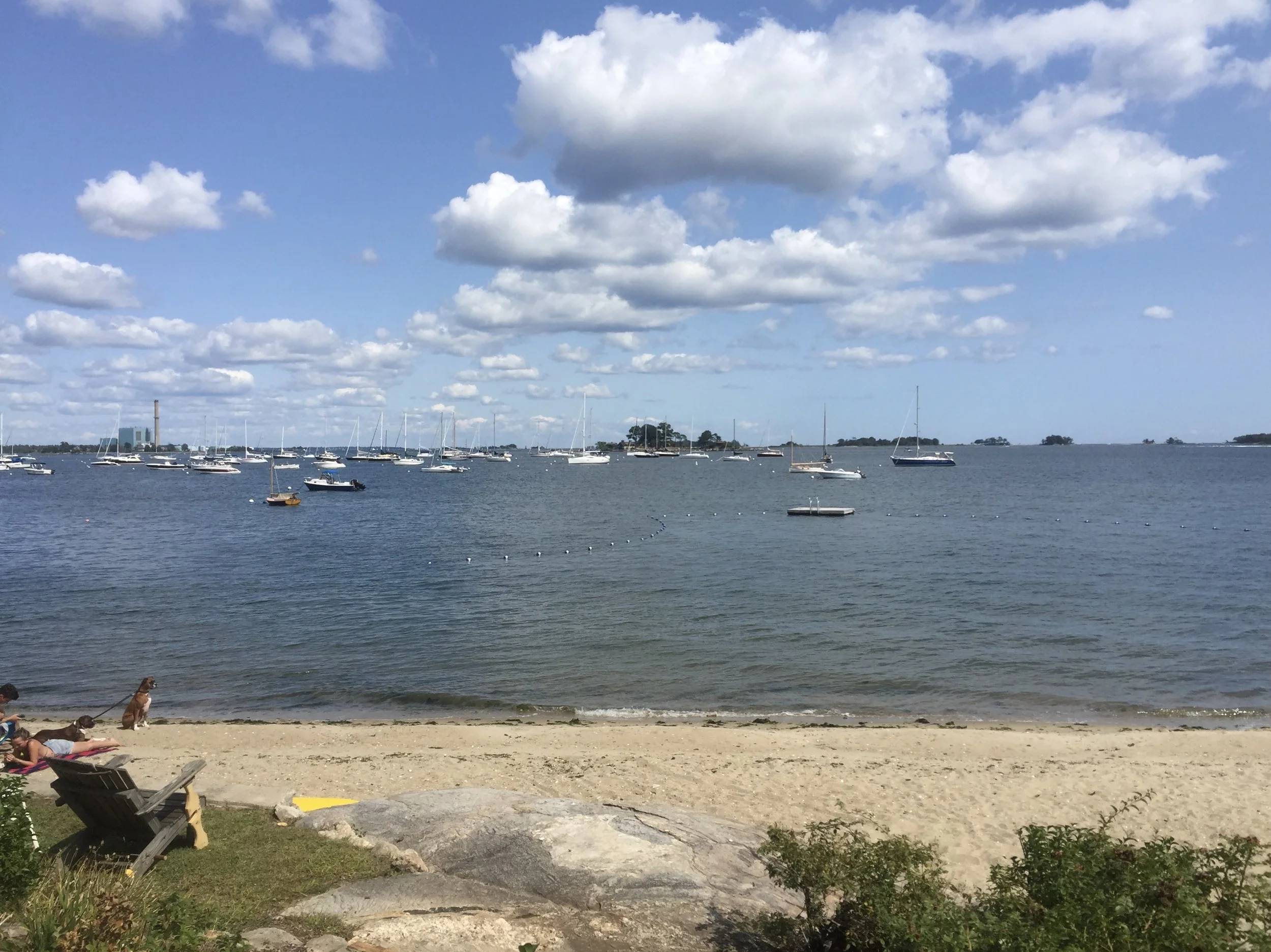 IMG_4408.jpeg