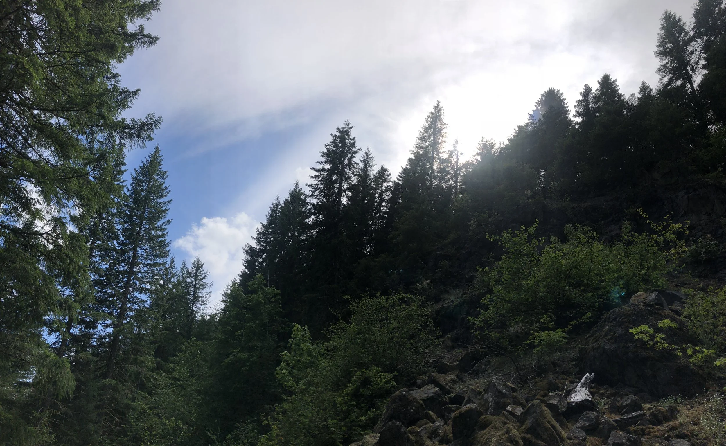 IMG_0806.jpeg