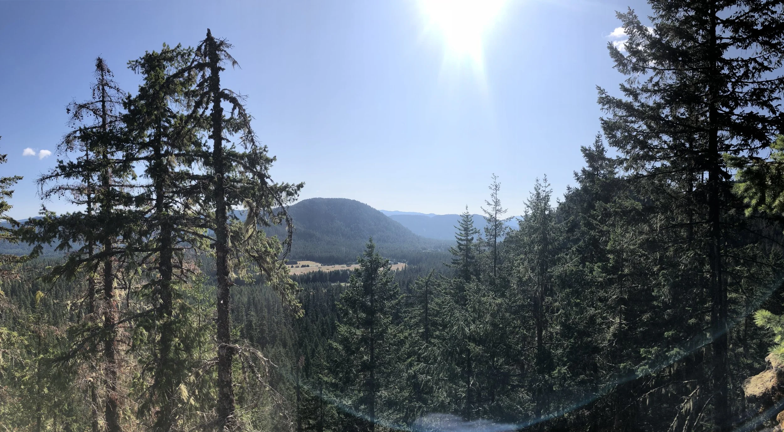 IMG_0815.jpeg