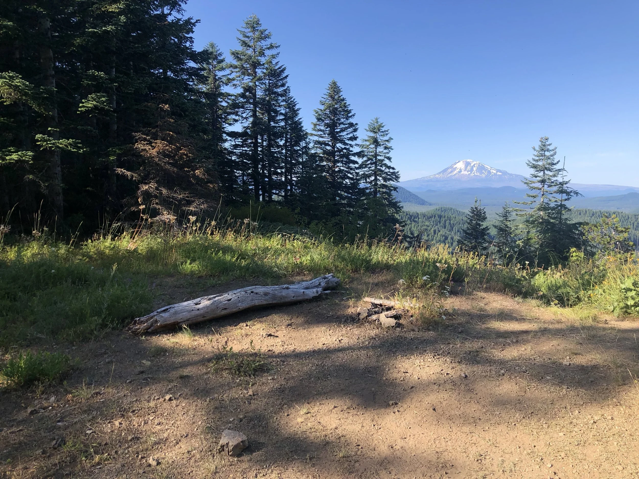 IMG_0839.jpeg