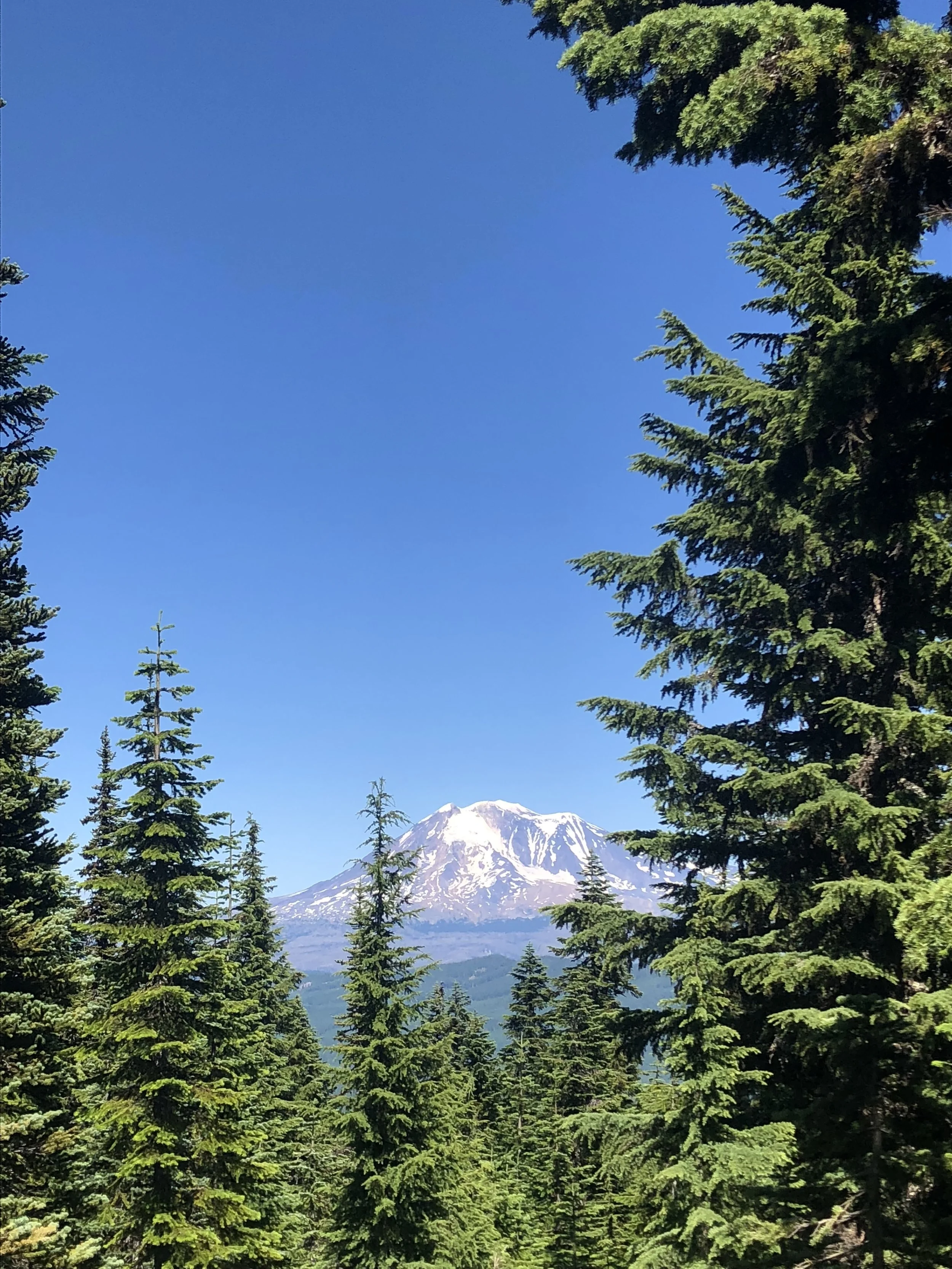 IMG_0861.jpeg