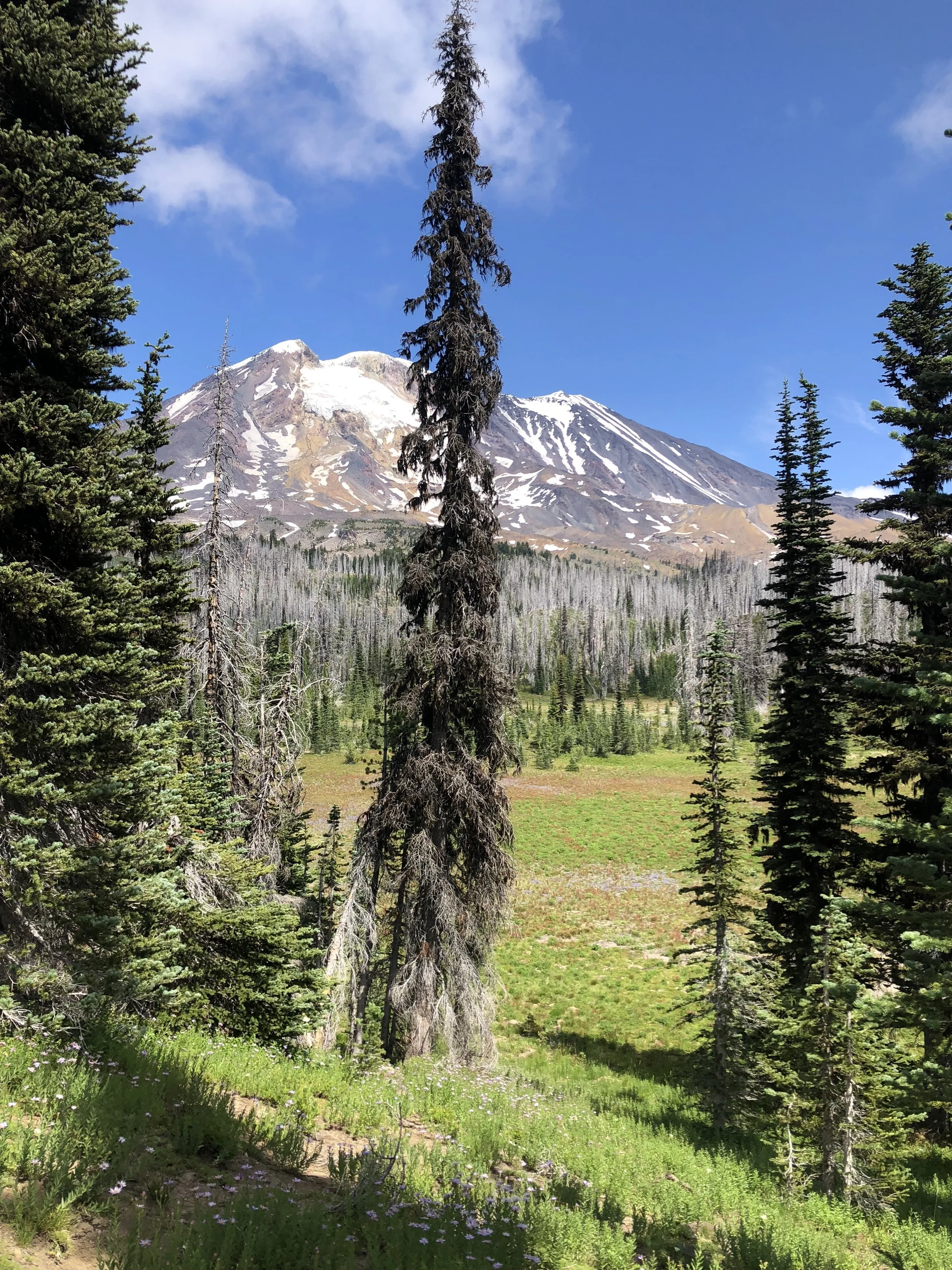 IMG_0934.jpeg