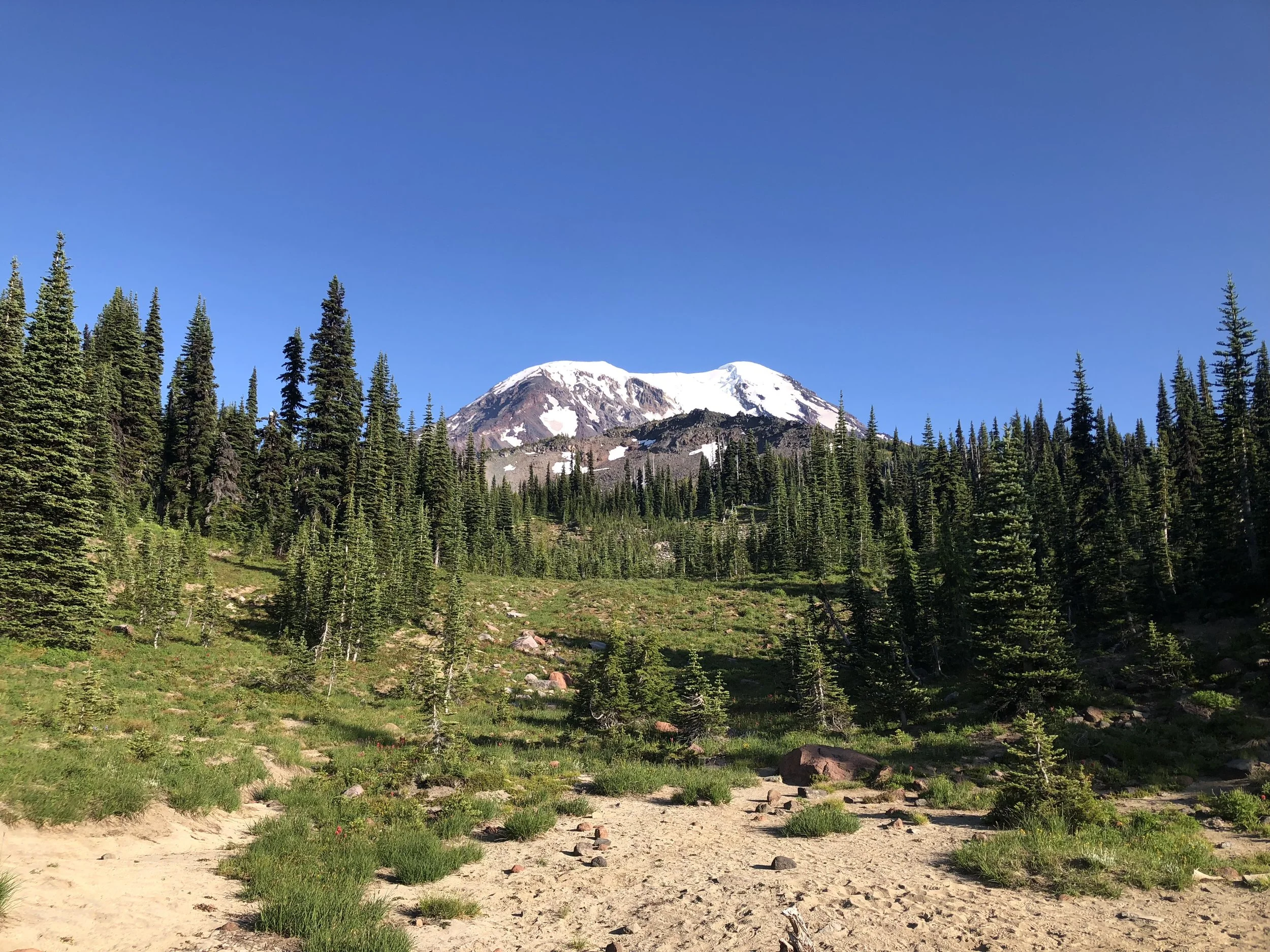 IMG_0953.jpeg