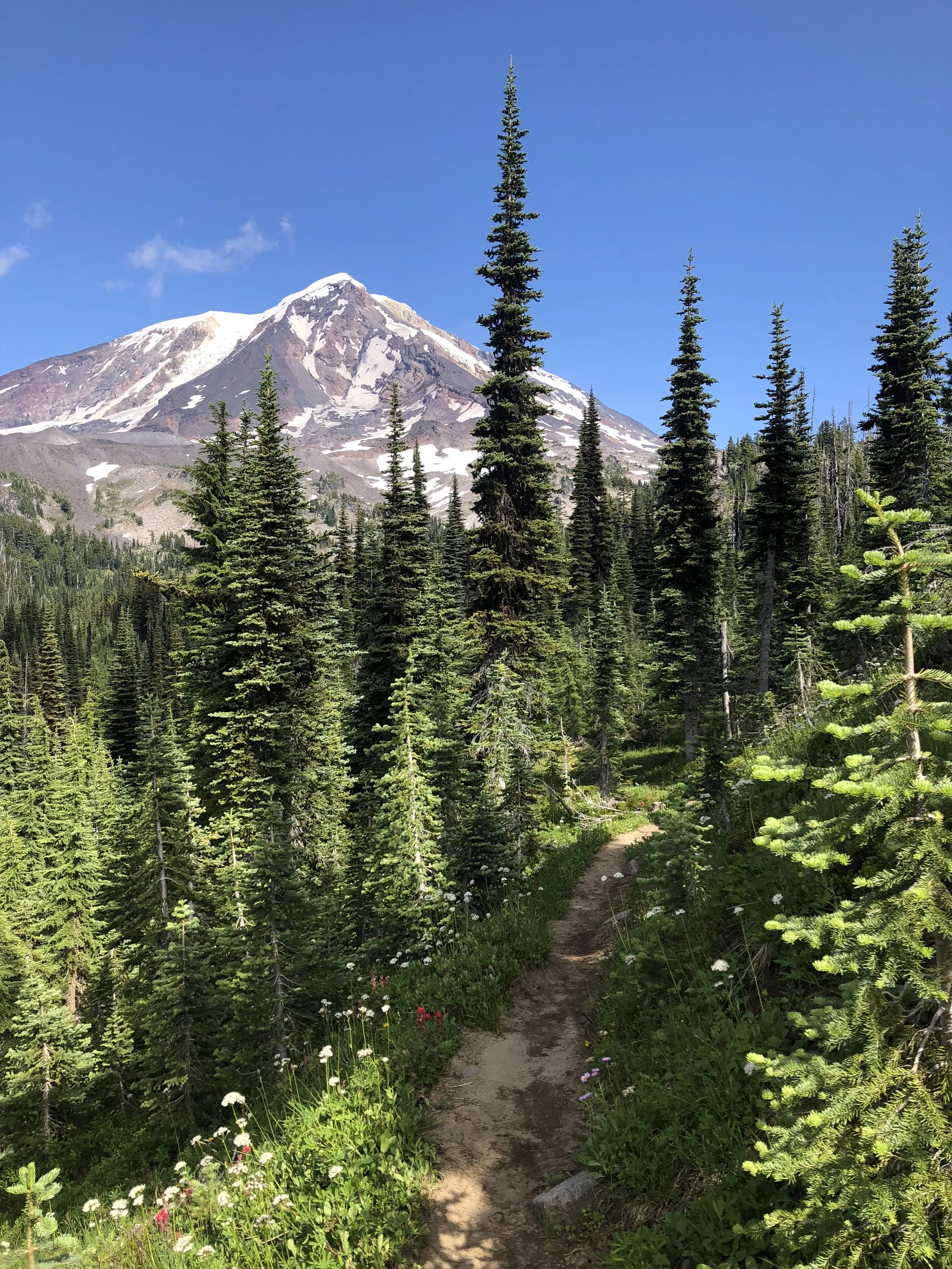 Day 98 – trout lake to high camp Trail junction