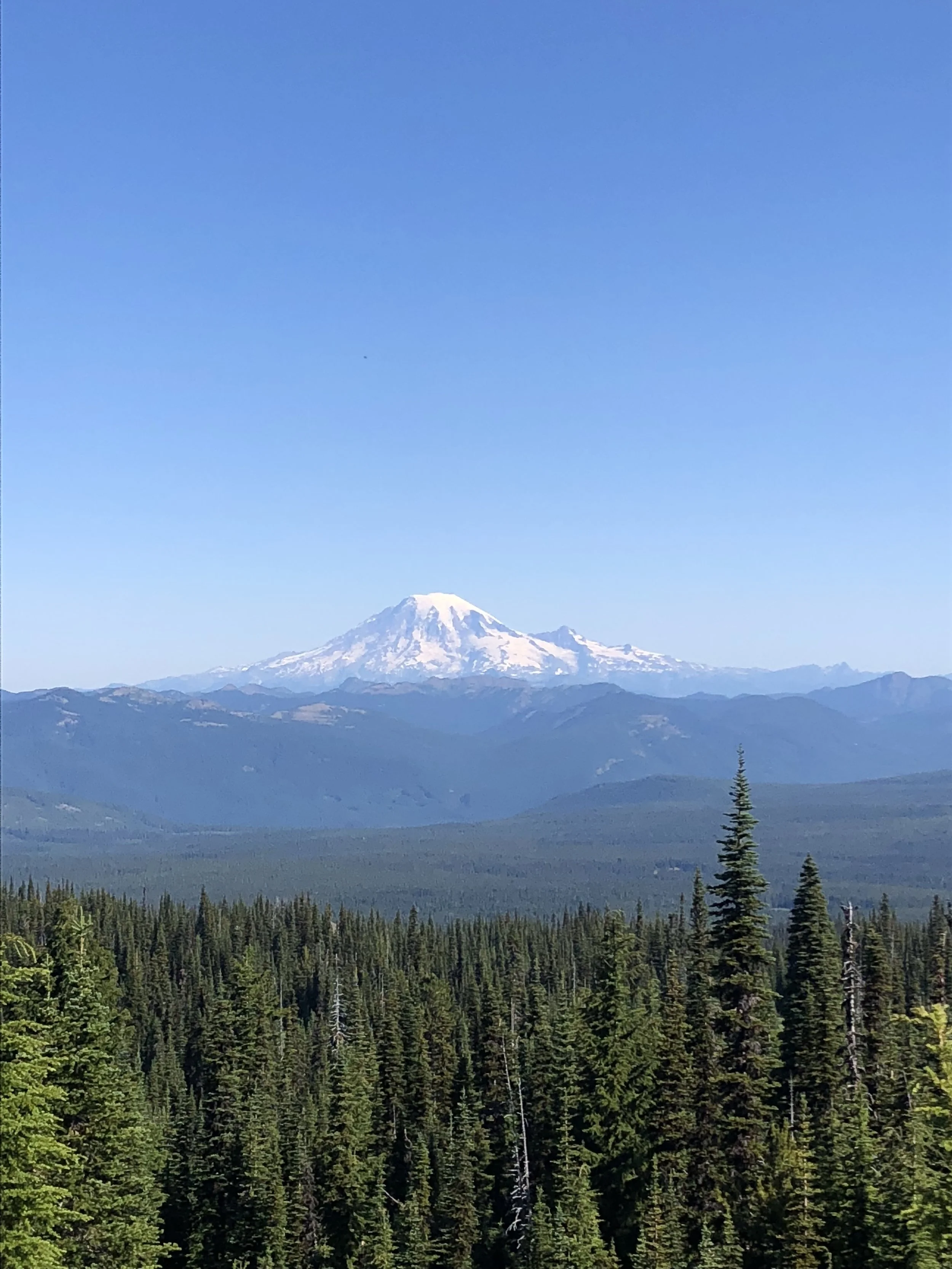IMG_1017.jpeg