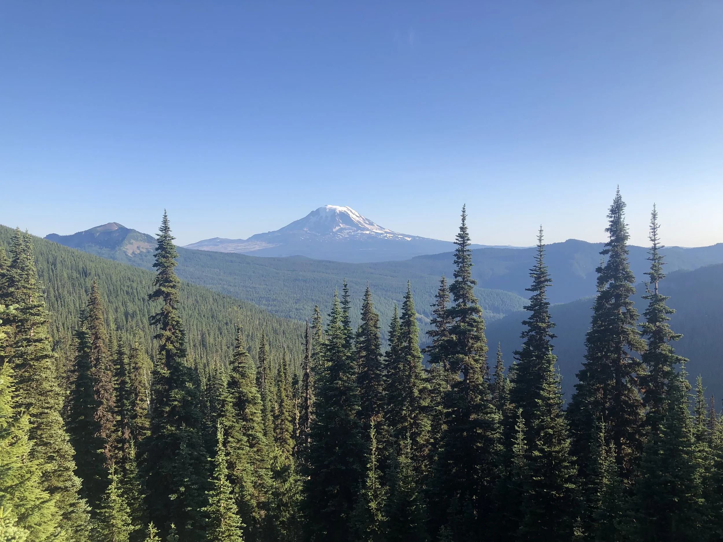 IMG_1026.jpeg