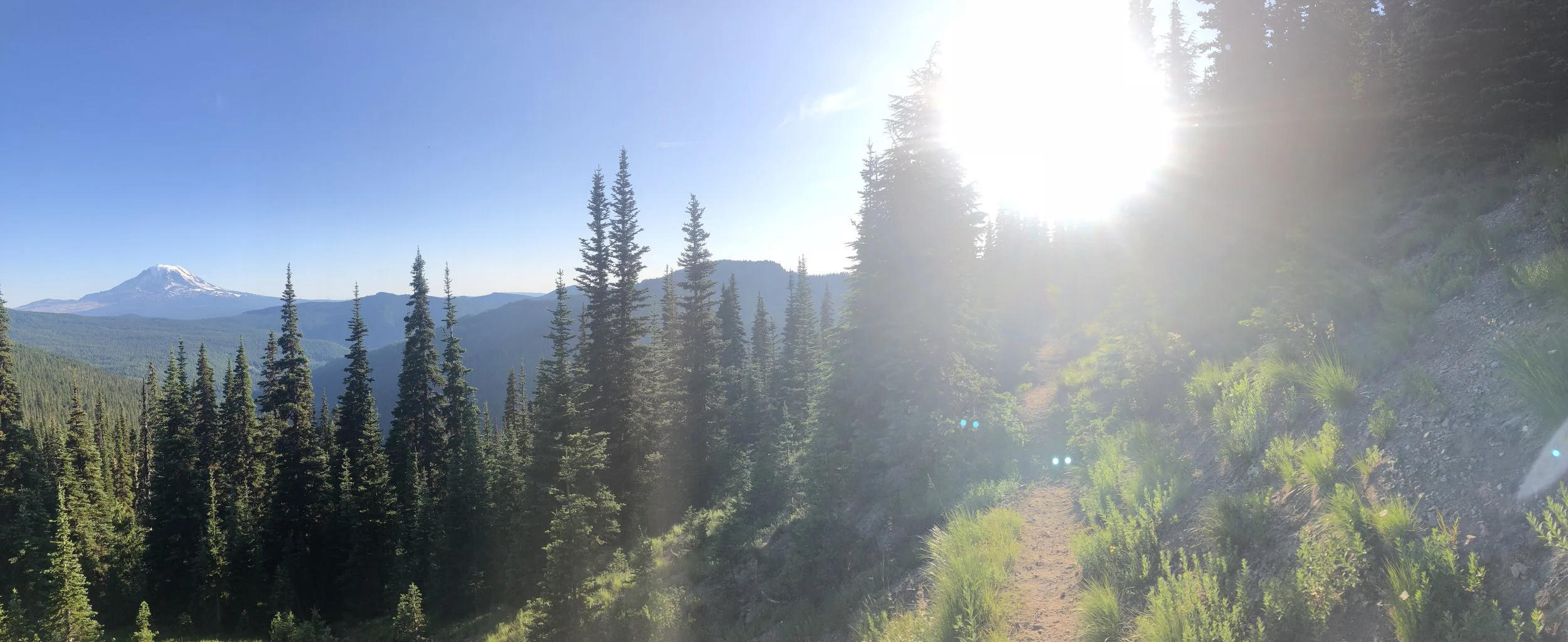 IMG_1029.jpeg