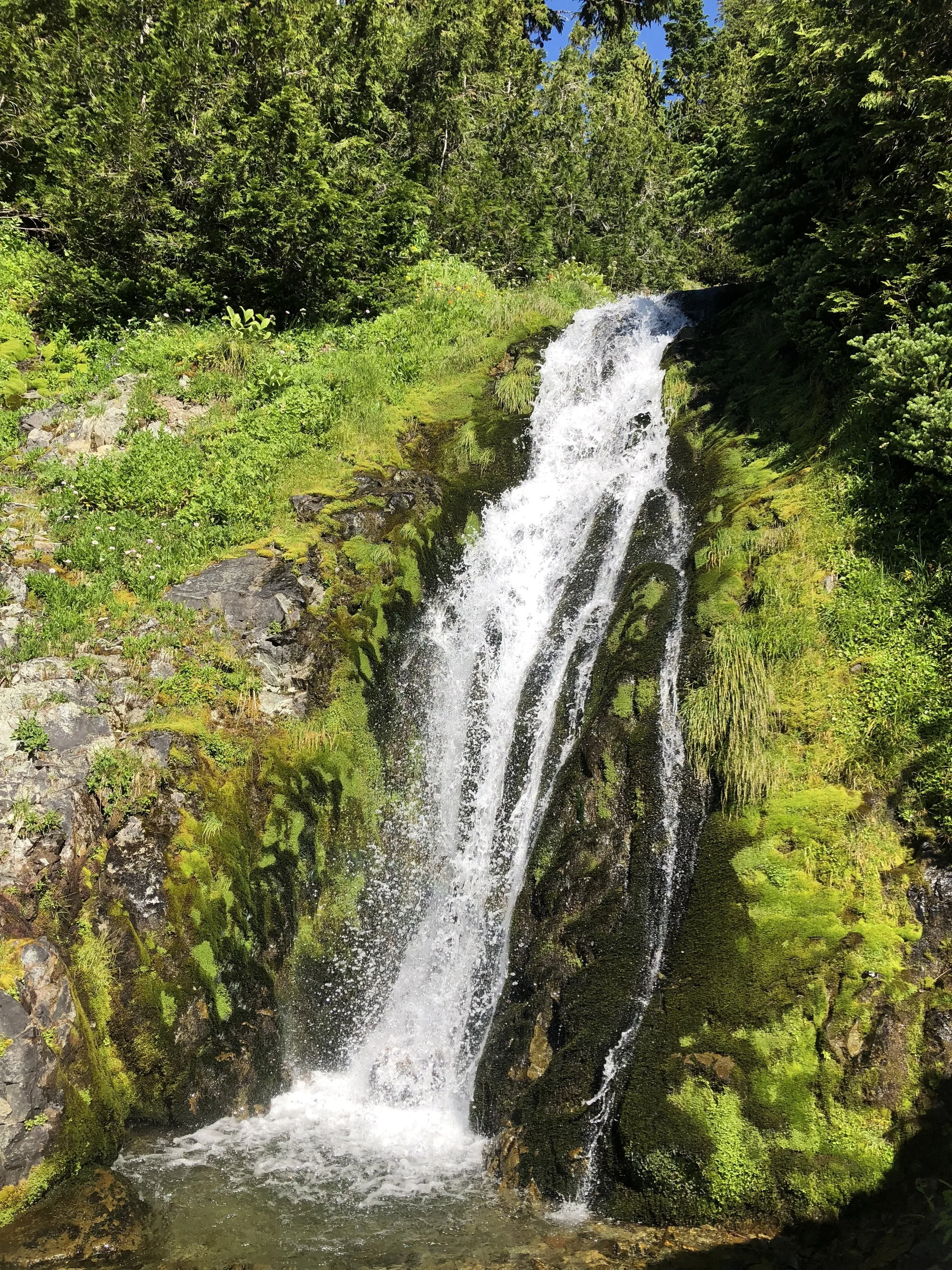 IMG_1048.jpeg