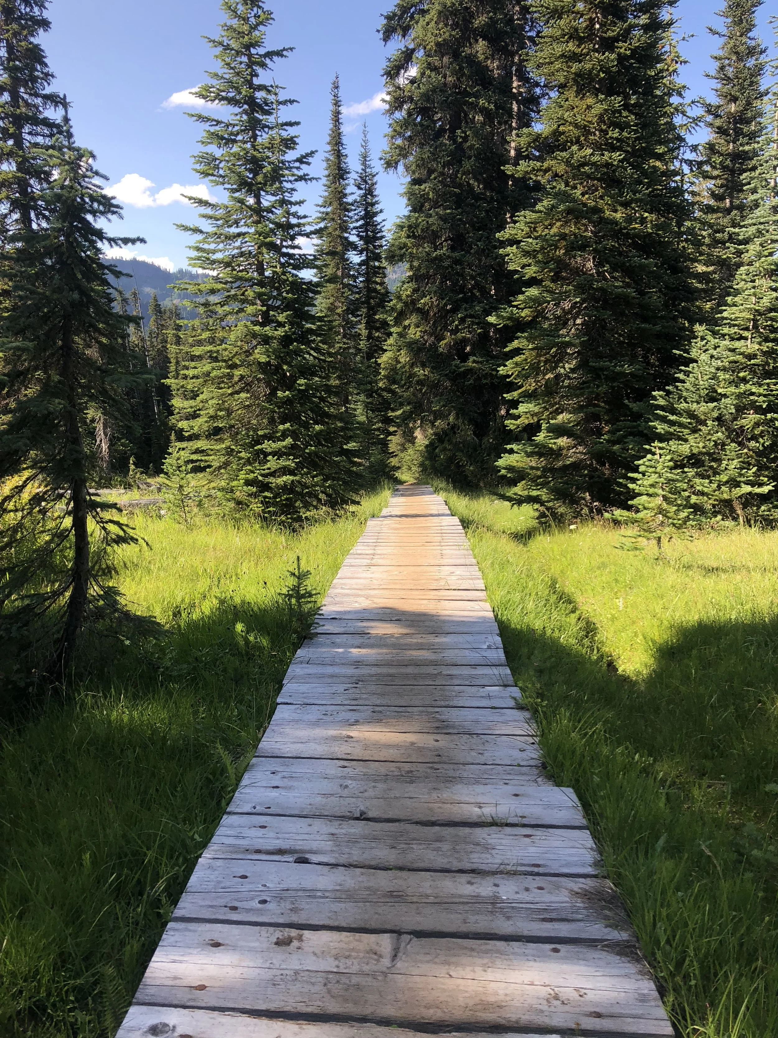 Days 101-102 – hogBack ridge To near crAg lakE