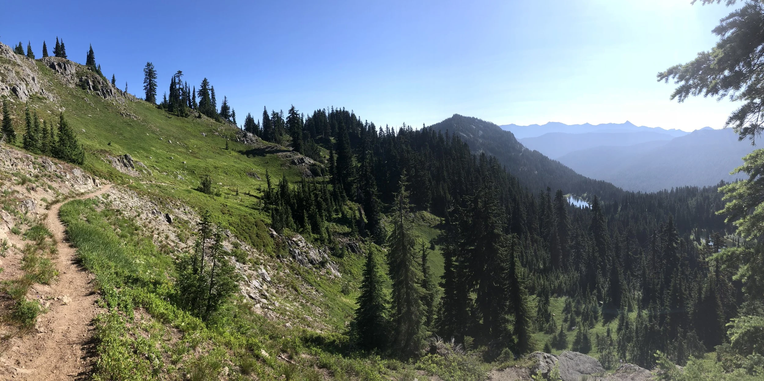 IMG_1142.jpeg