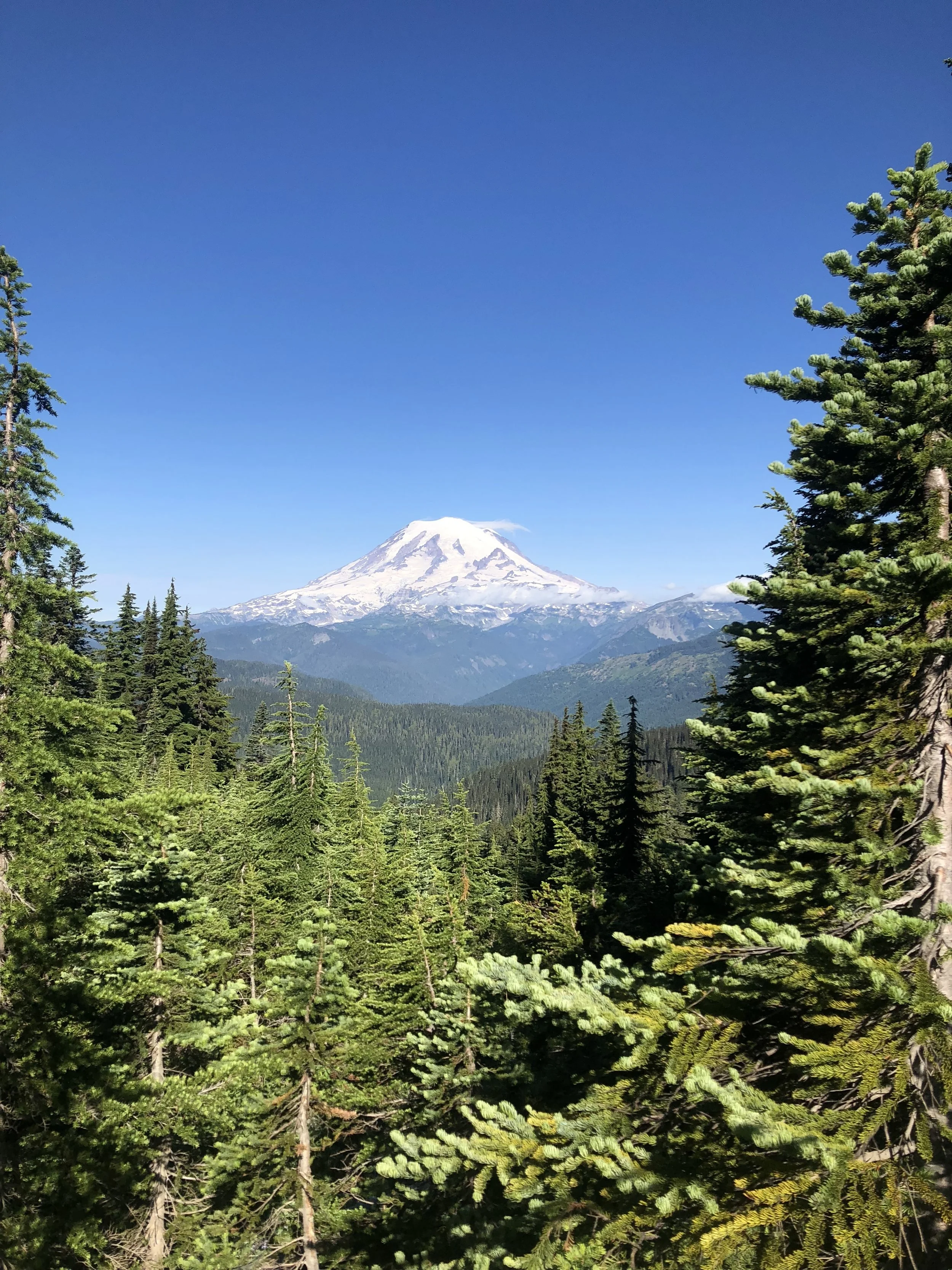 IMG_1144.jpeg