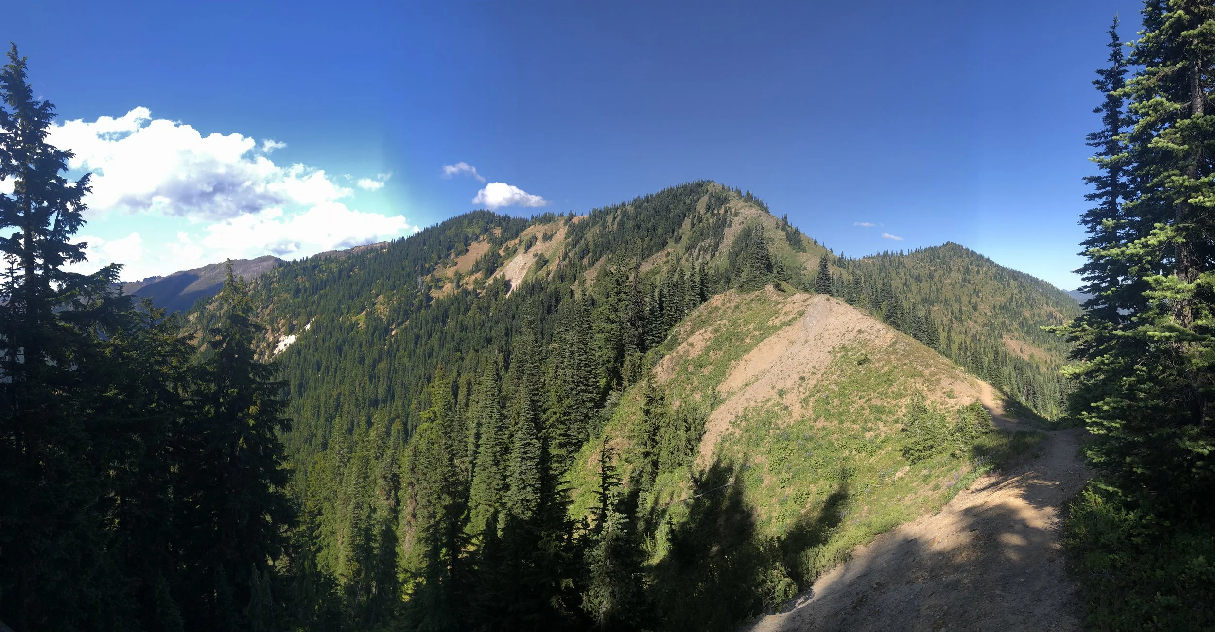 IMG_1180.jpeg