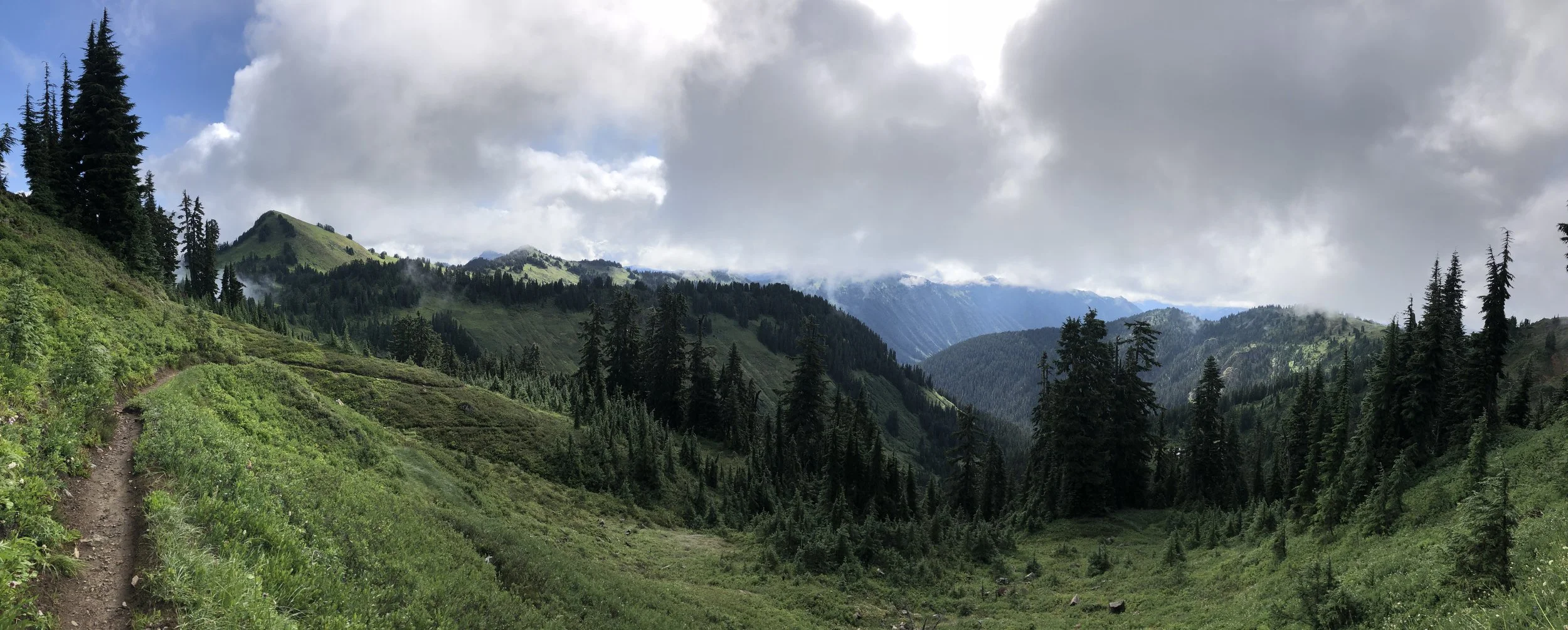 IMG_1479.jpeg