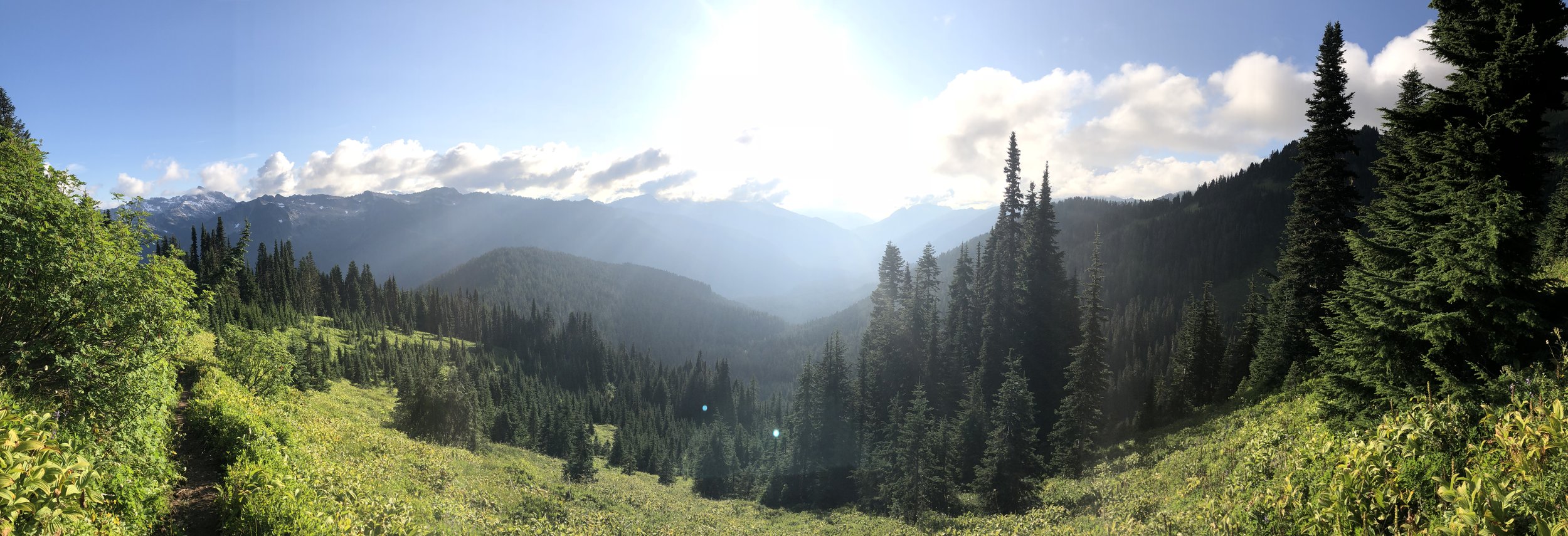 IMG_1494.jpeg