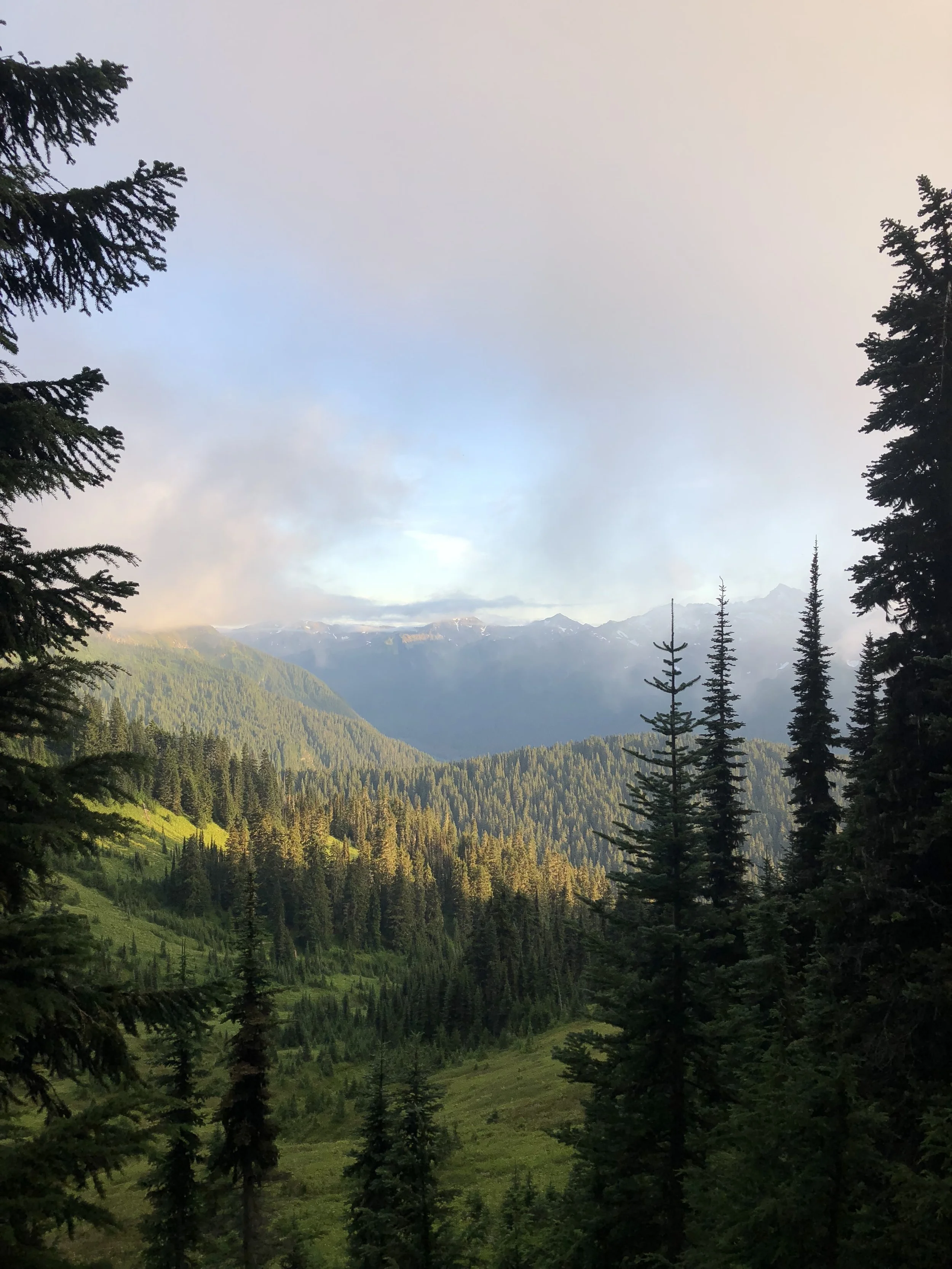IMG_1498.jpeg