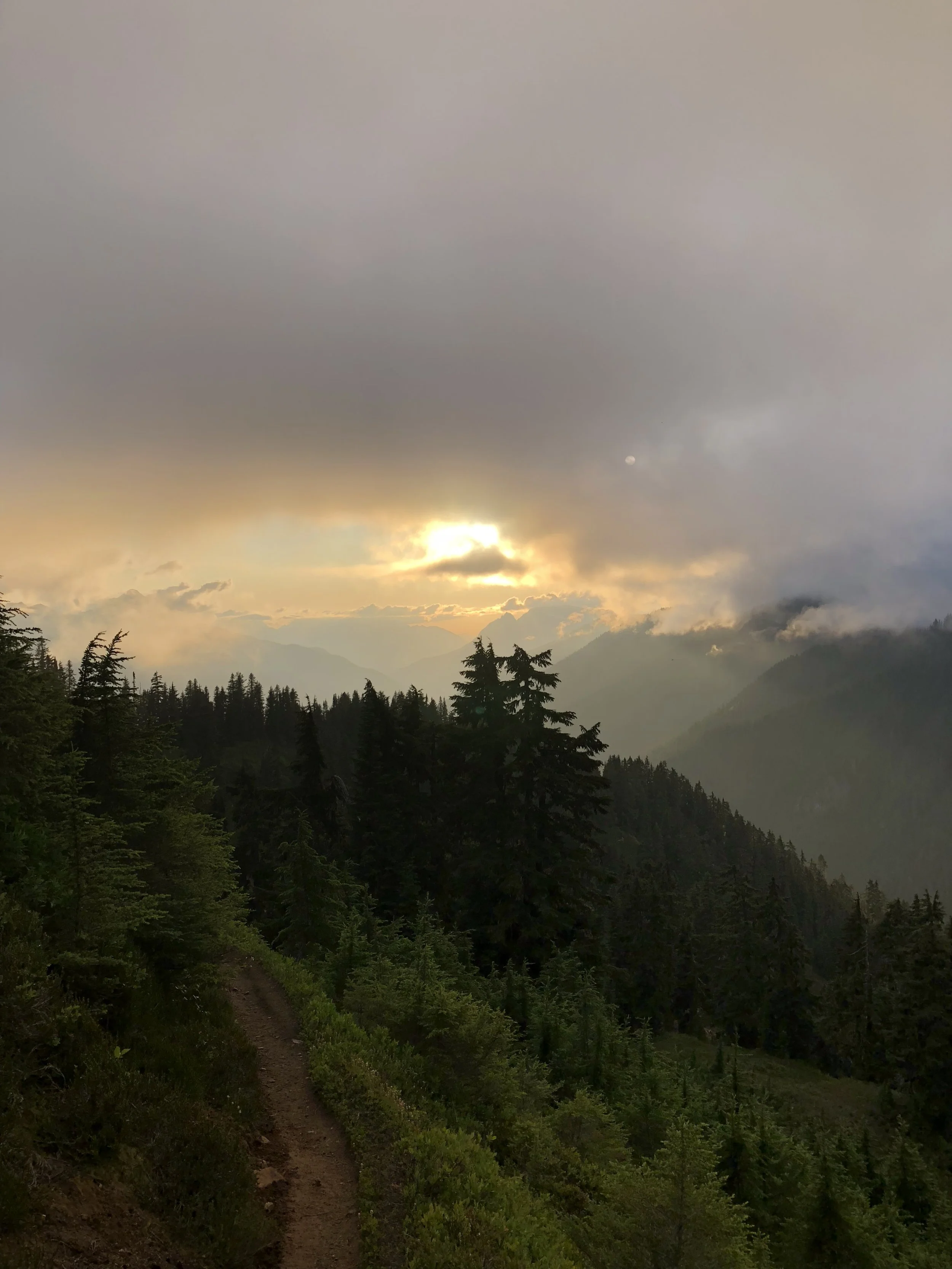 IMG_1504.jpeg
