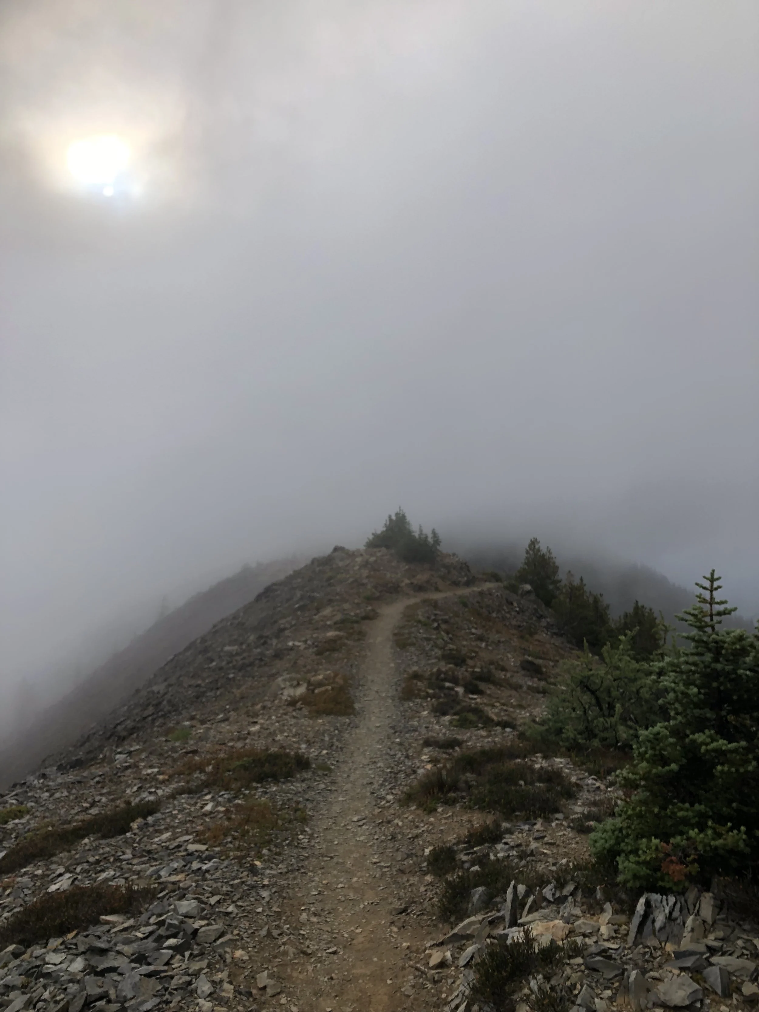 IMG_1586.jpeg