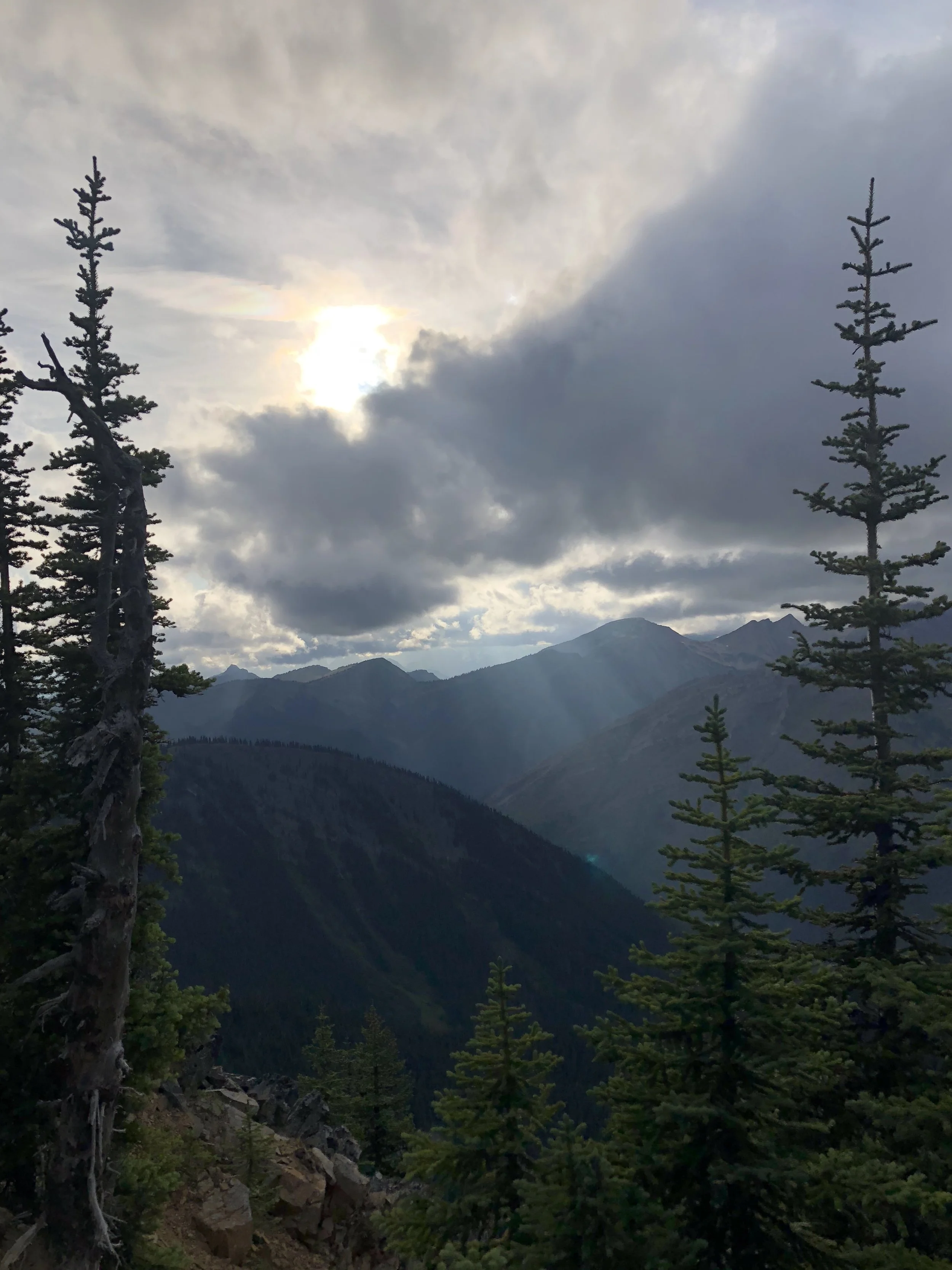 IMG_1608.jpeg