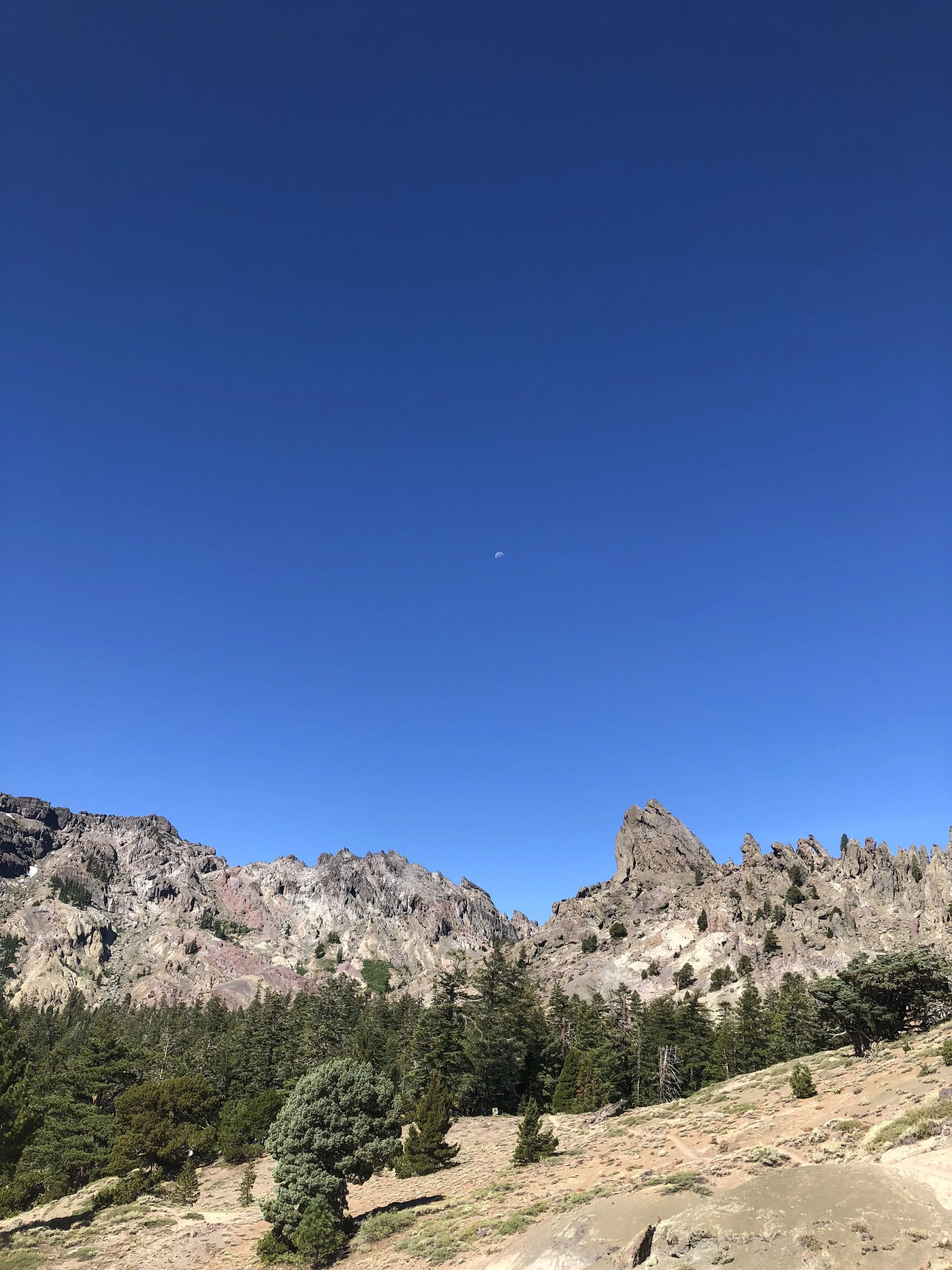IMG_1668.jpeg