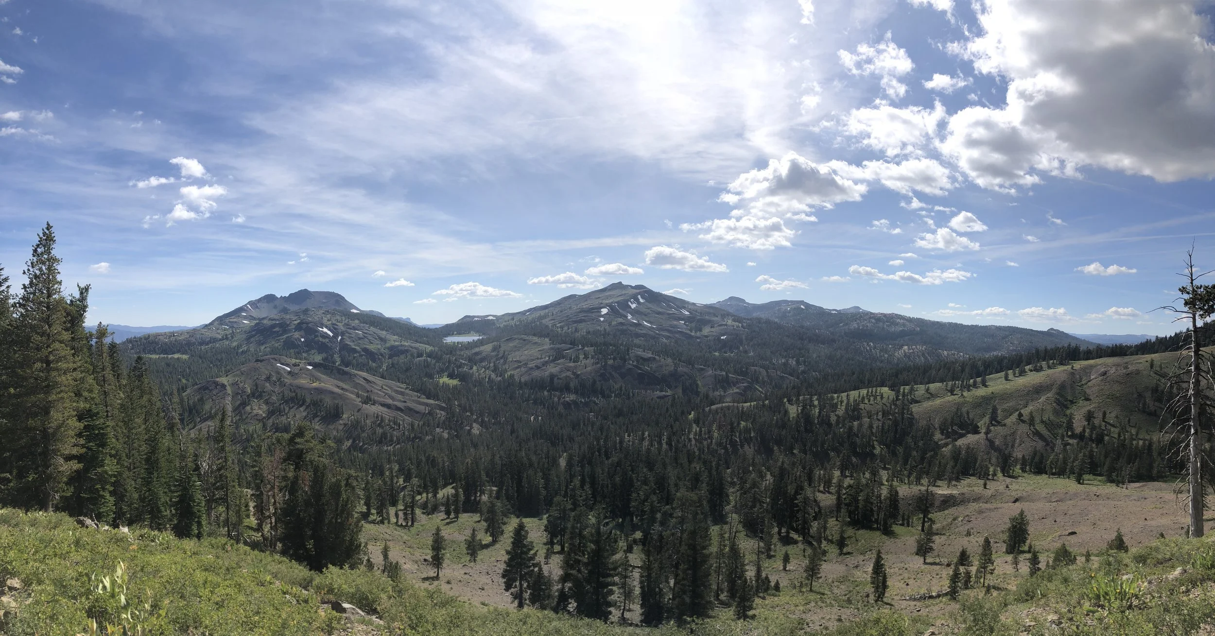 IMG_1670.jpeg