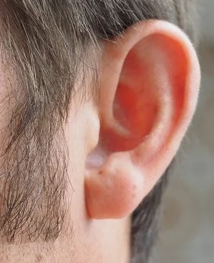 ear.jpeg