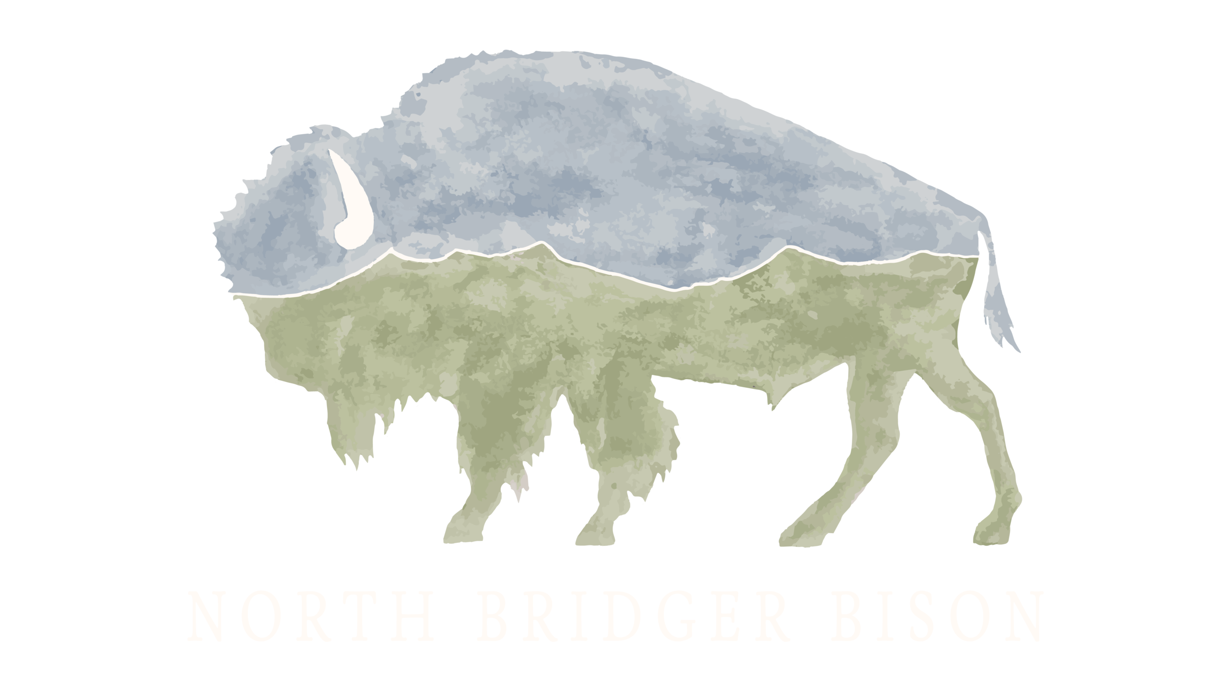 North Bridger Bison