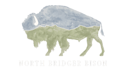 North Bridger Bison