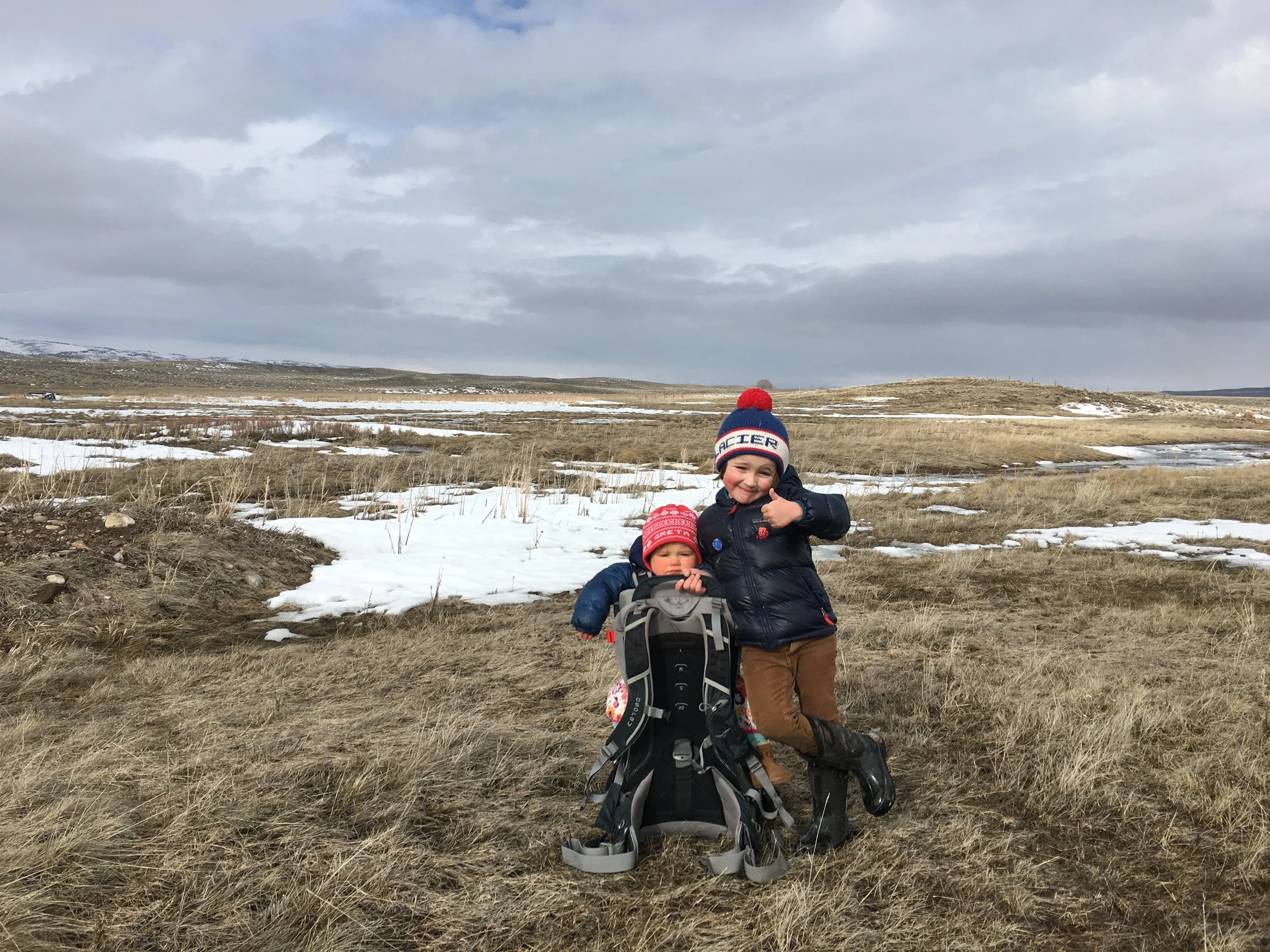 North Bridger Bison’s CEO (Greta) and Director of Insect Monitoring and Rock Collecting (Otto)