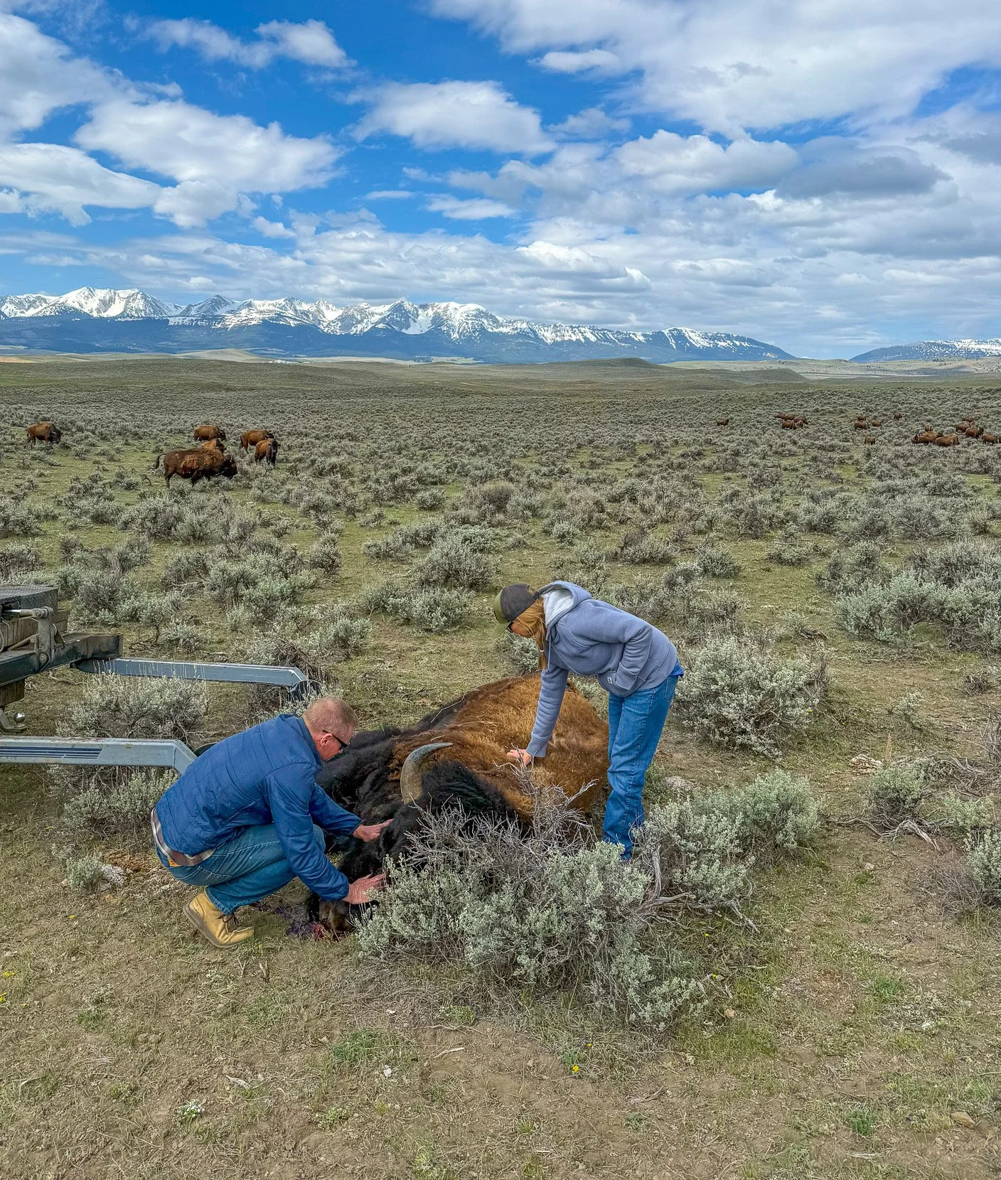 One-of-a-Kind Field Harvest Experience (Deposit)