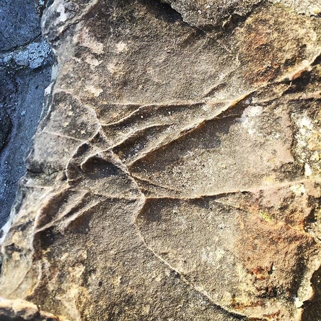 Texture texture. Love it. St Andrews pier in the winter sunshine #inspiration #ceramics #nextproject #standrews #texture