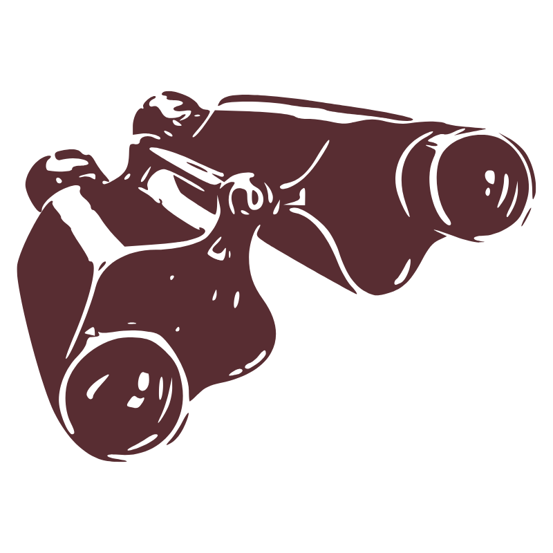 BINOCS.png