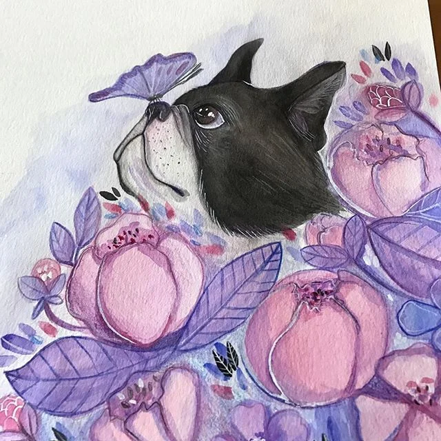Boston Terrier