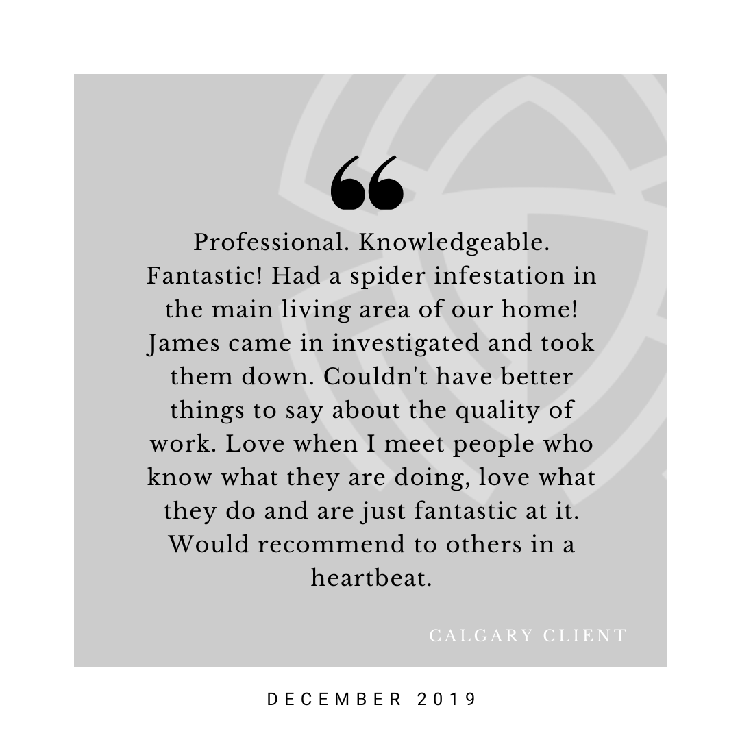 Calgary Pest Control Pest Removal & Exterminator Services