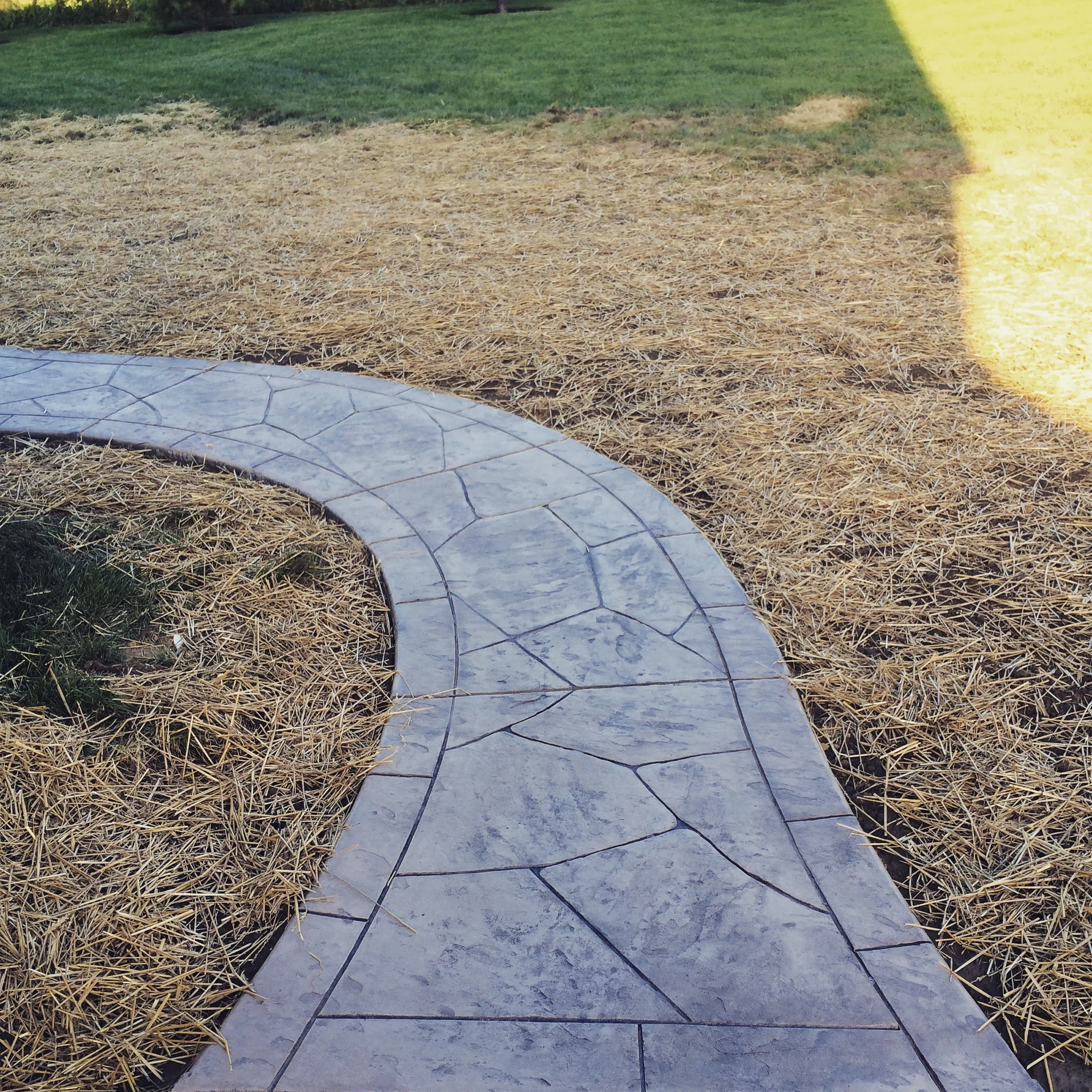 Stamped Concrete Front Walkway with Landing and Step