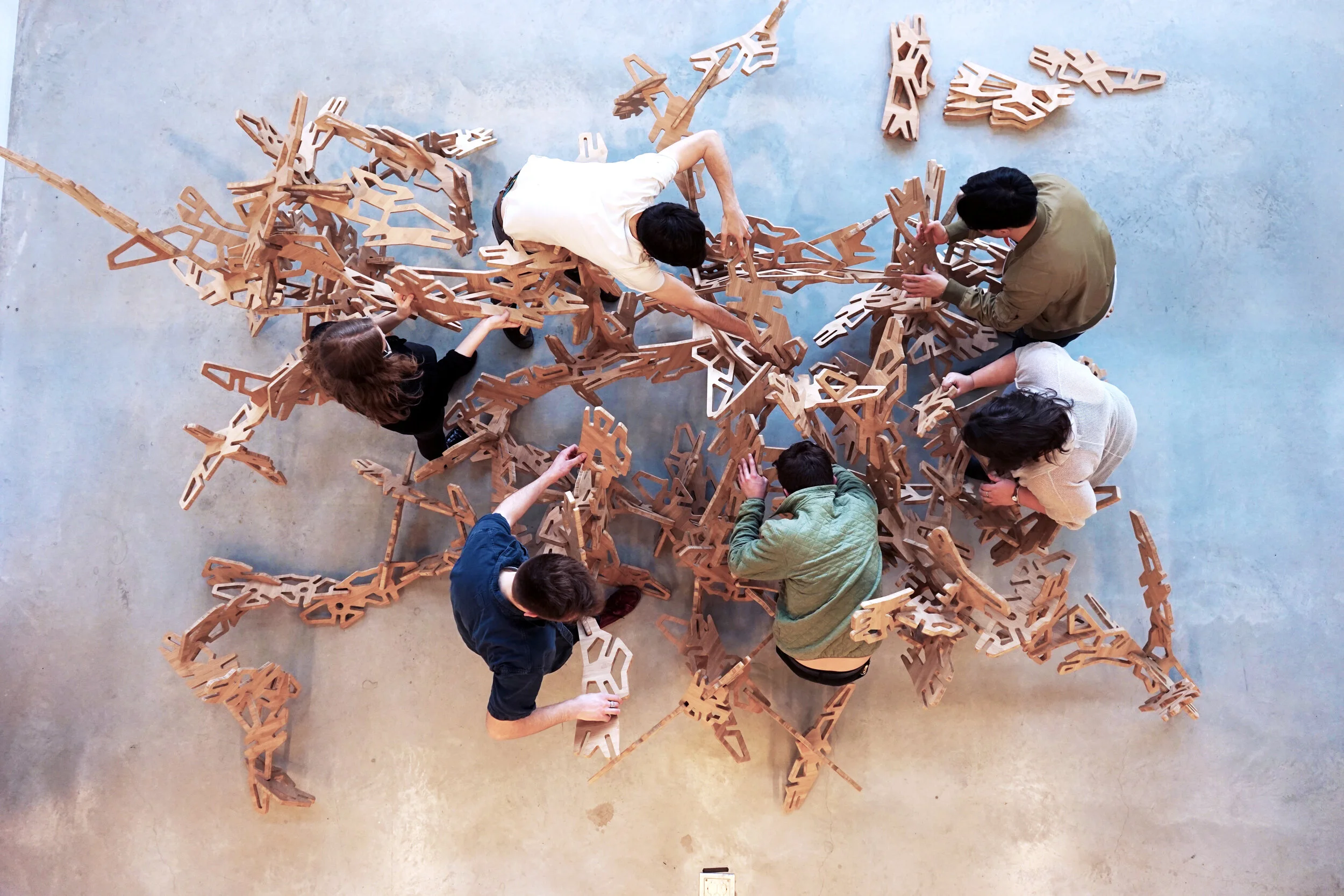 Urban_Tangle_12.jpg