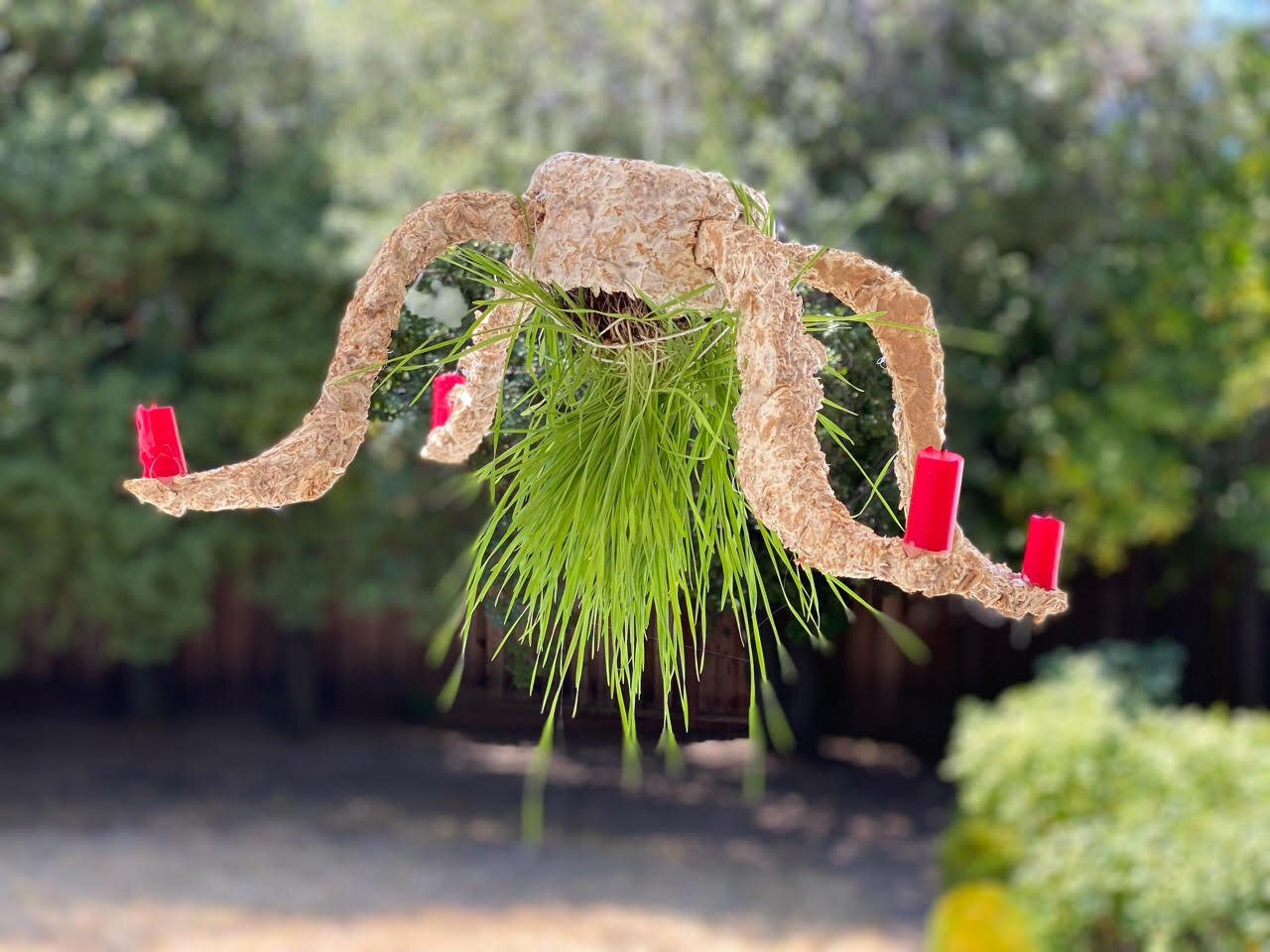 A drone like structure made of wheatgrass and mycelium, designed by a ONE Lab student (Copy)