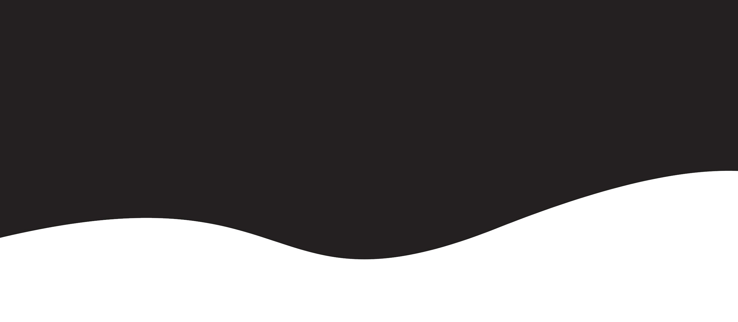 About-Us-second-curve-2.jpg