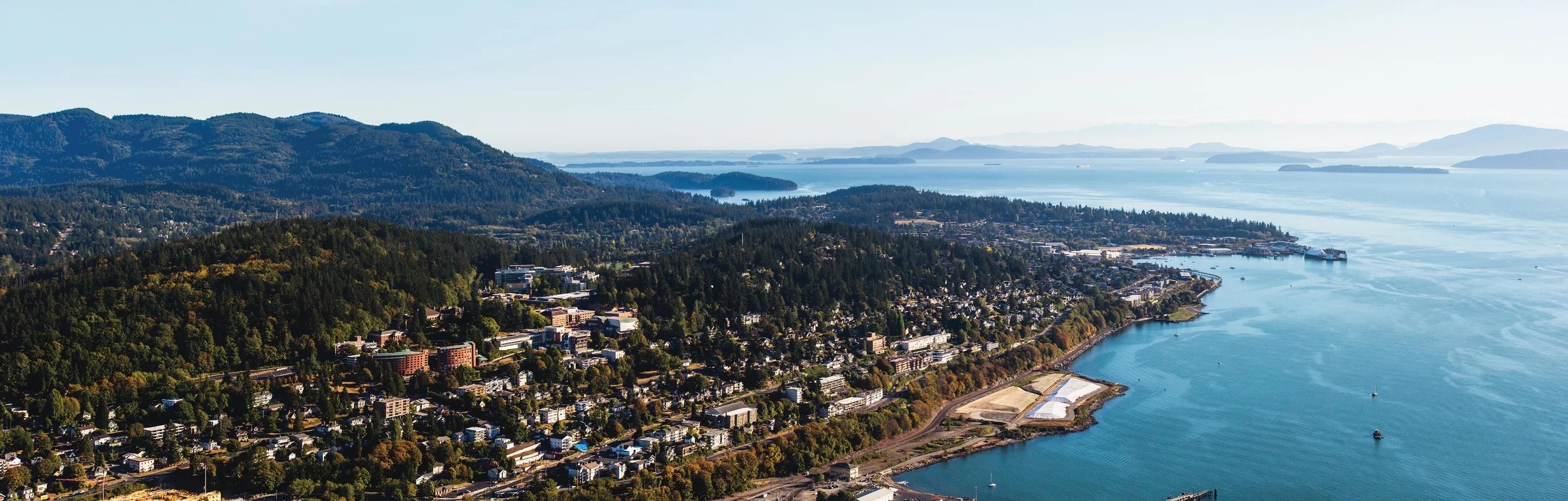 bellingham_banner.jpg