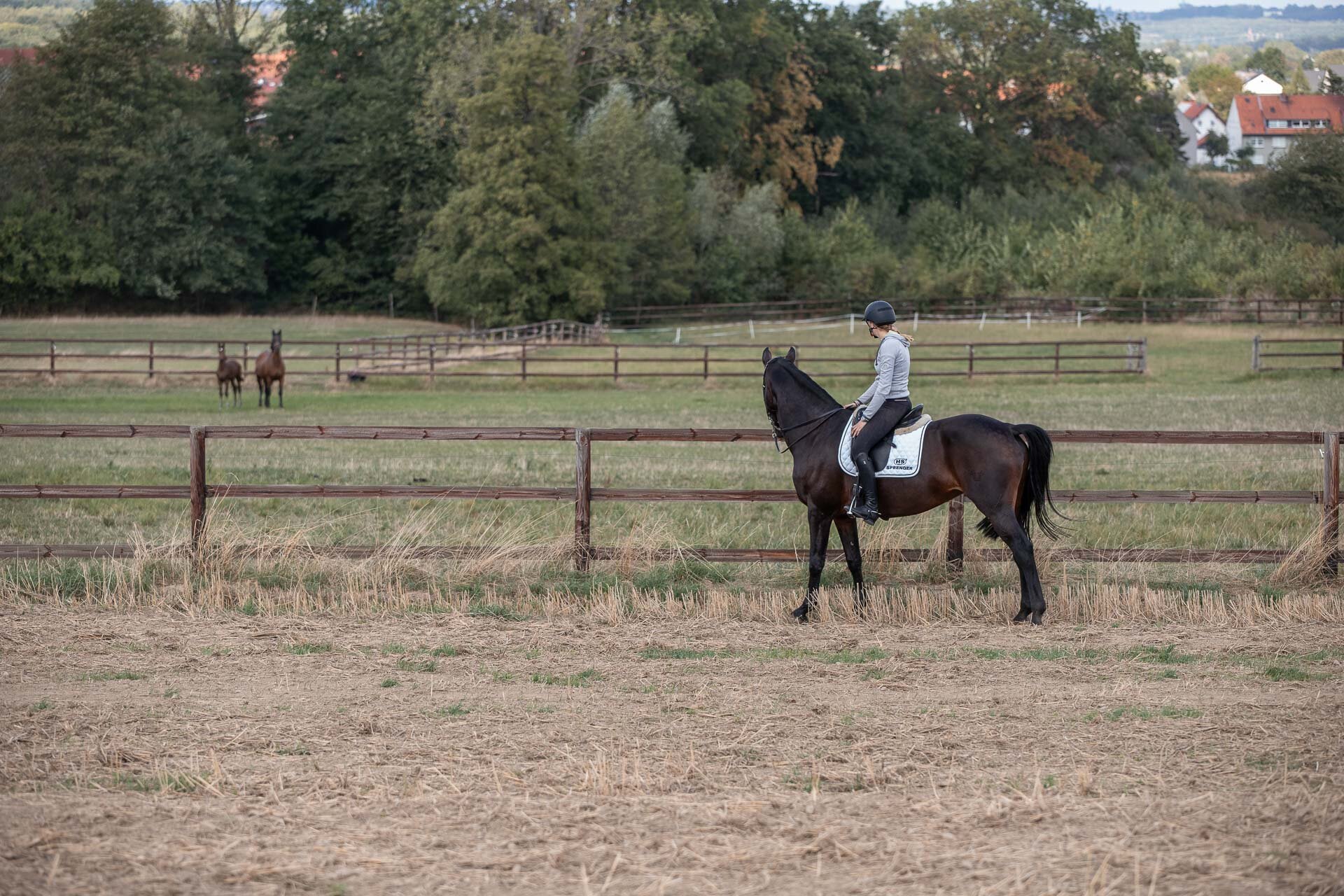180912_Sprenger_Homepage_221_klein.jpg