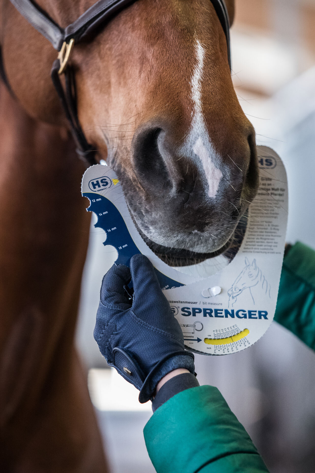 210218_Sprenger_110_klein.jpg
