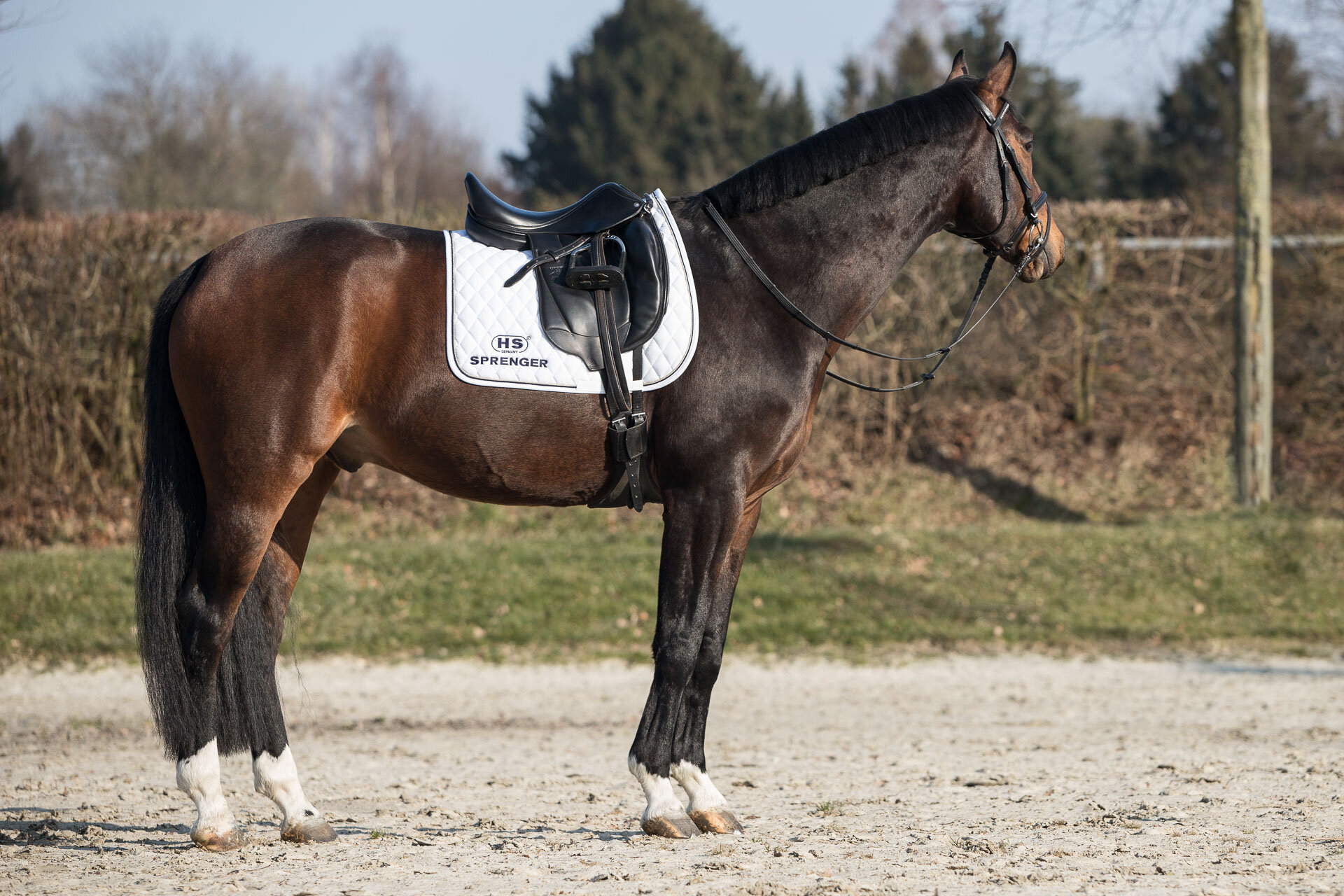 210218_Sprenger_174_klein.jpg