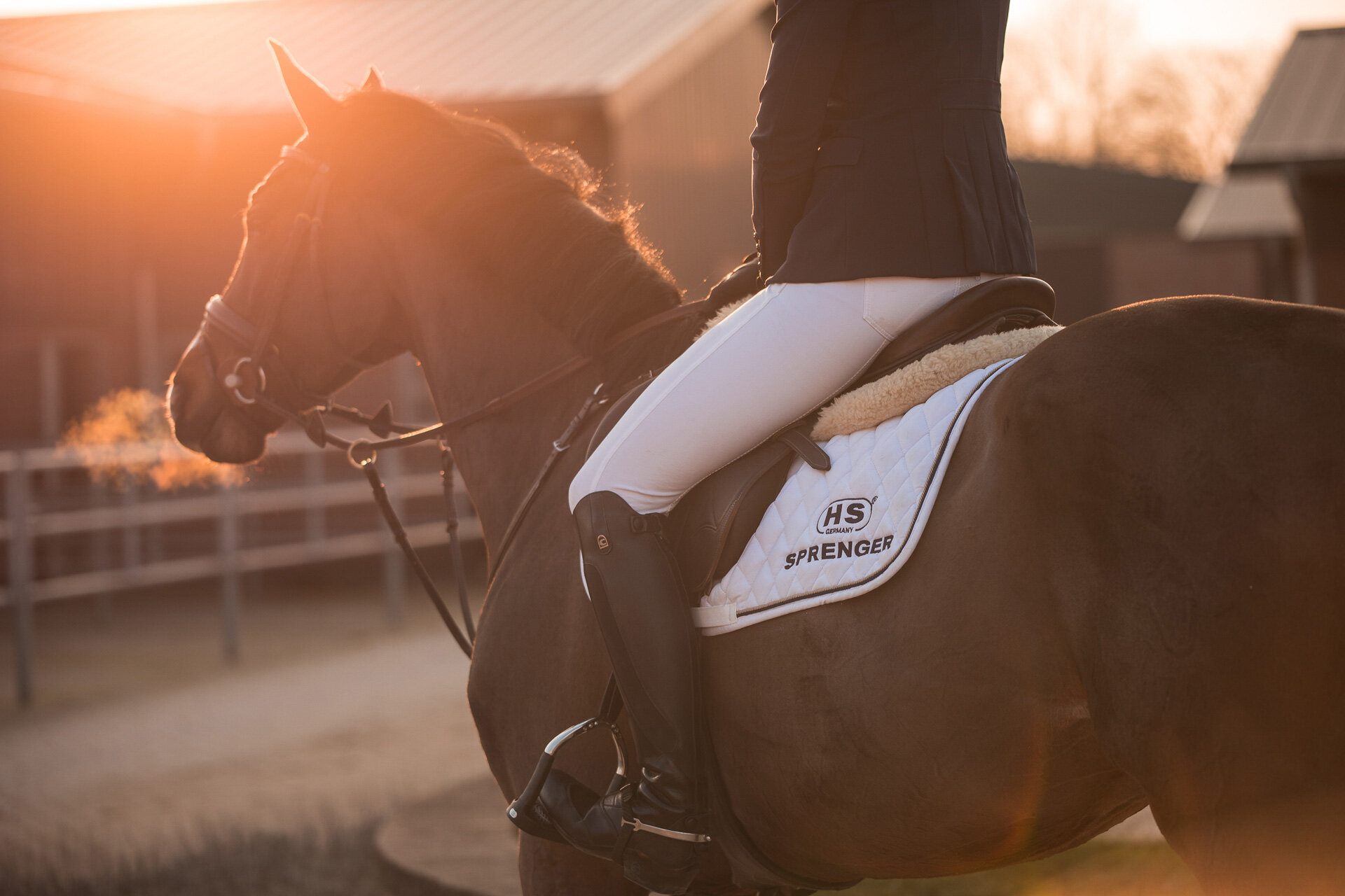 210218_Sprenger_276-ohne-Cavallo_klein.jpg