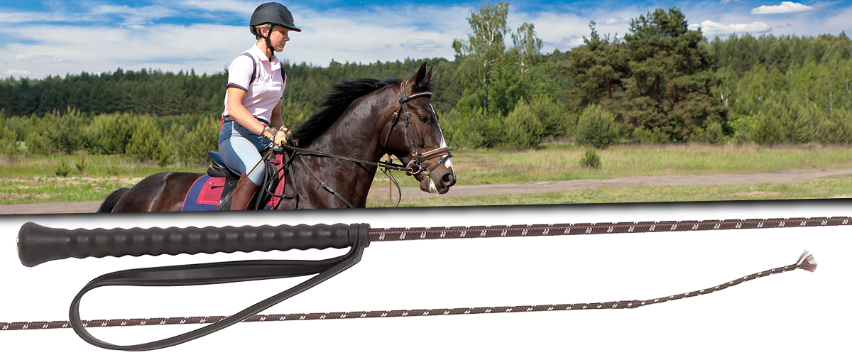 reiten.png