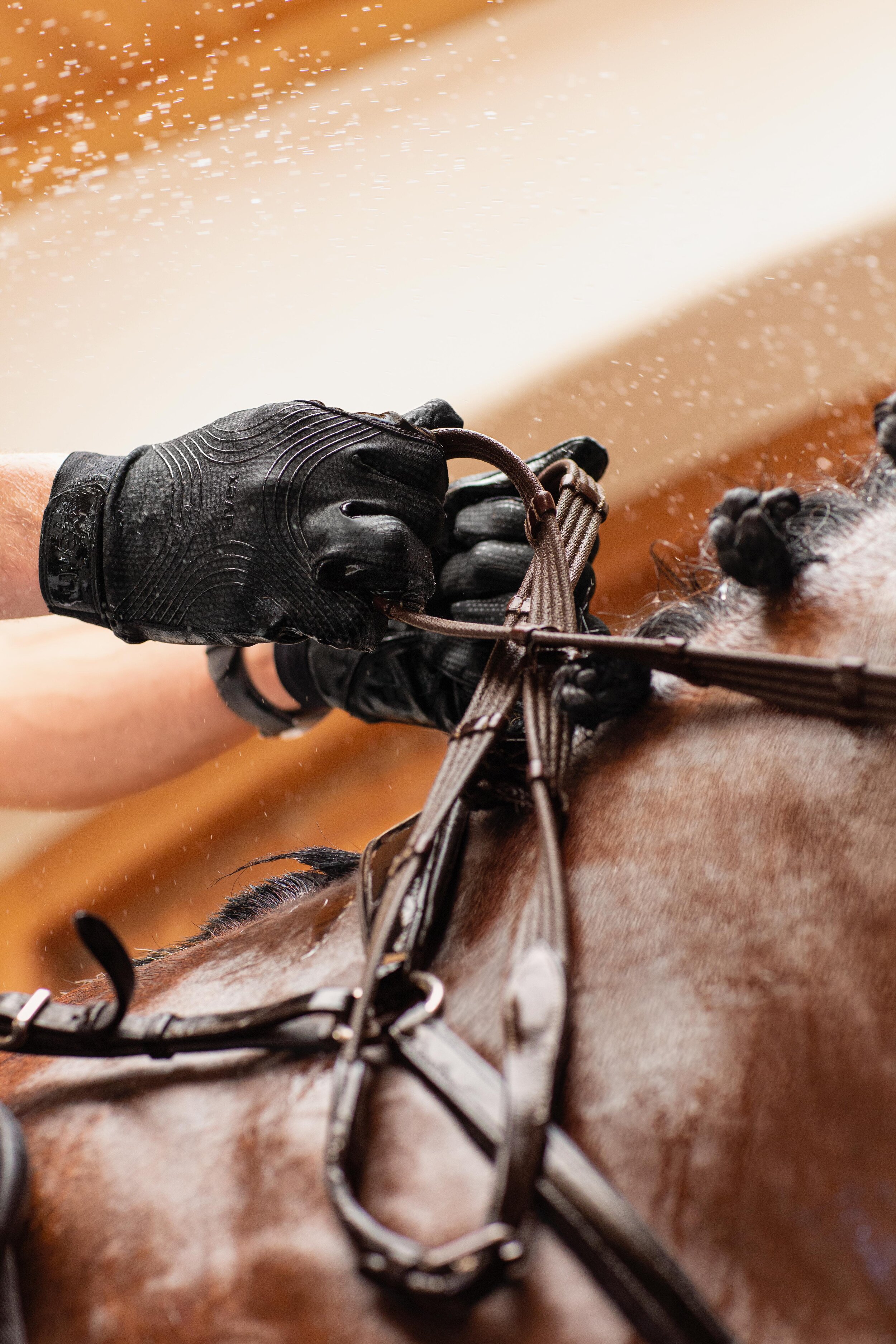 uvex_Equestrian_gloves_ceravent2.jpg