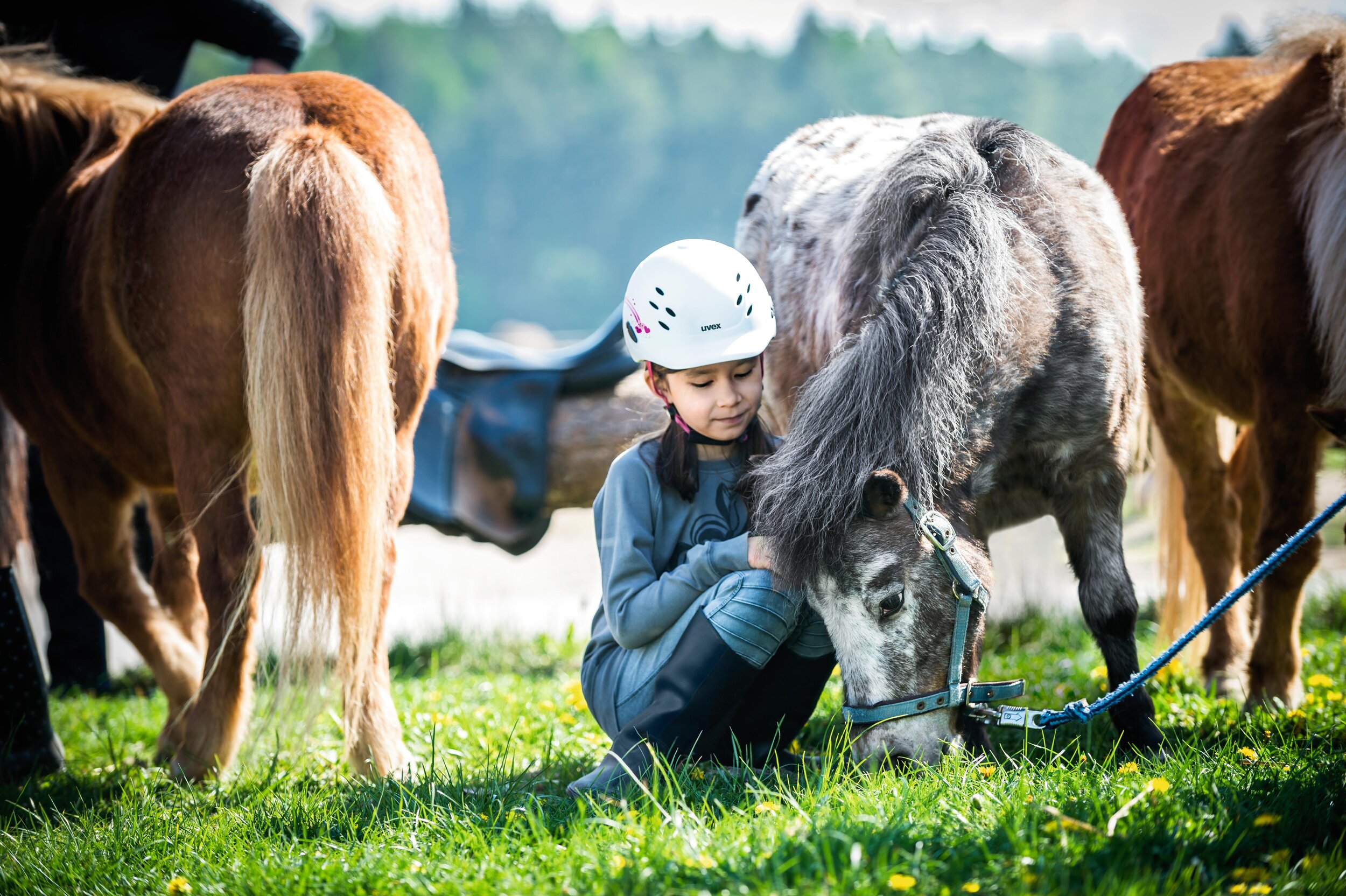 uvex_Equestrian_kids_helmet_onyxx_dekor.jpg