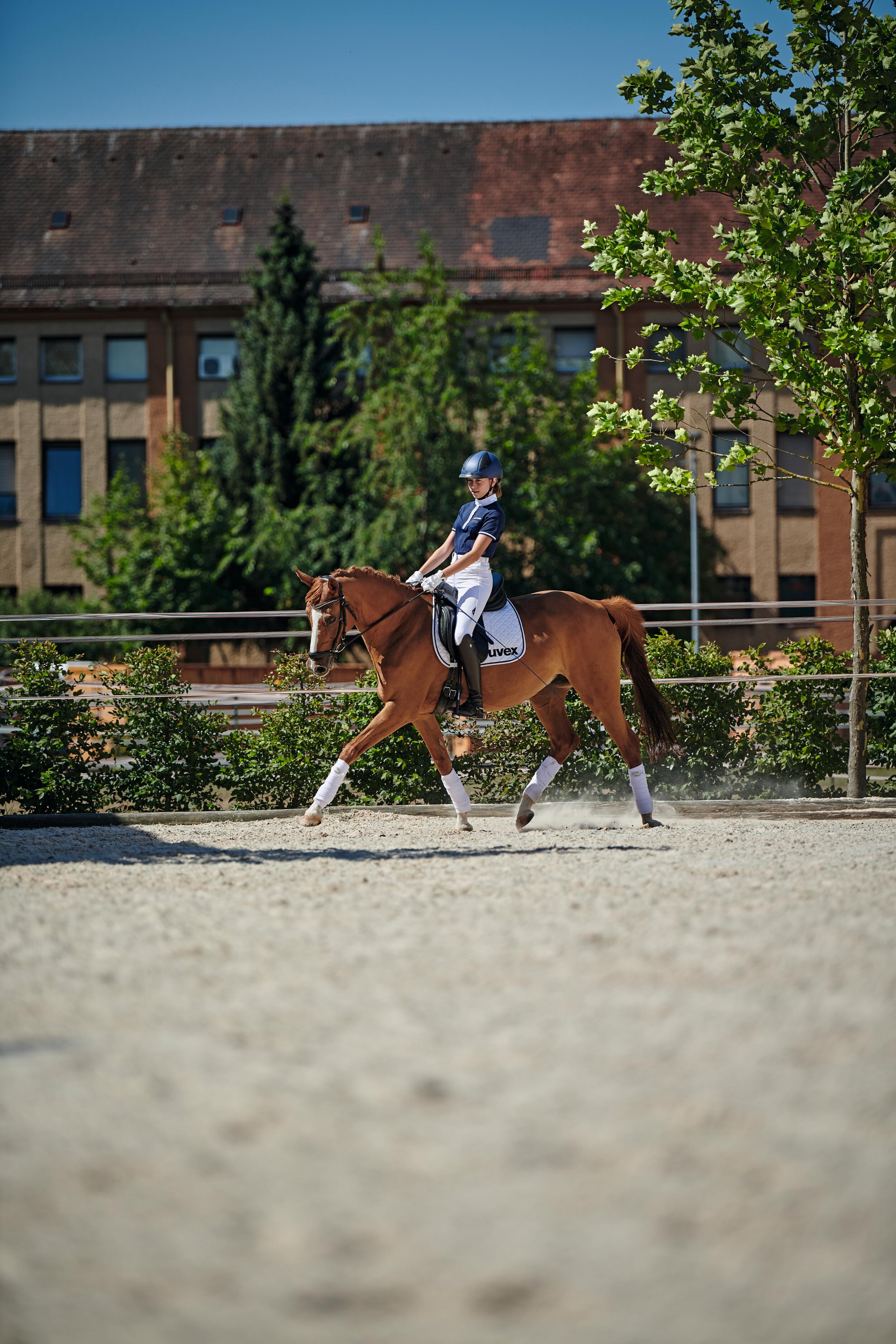 uvex_Equestrian_uvex_exxential.jpg